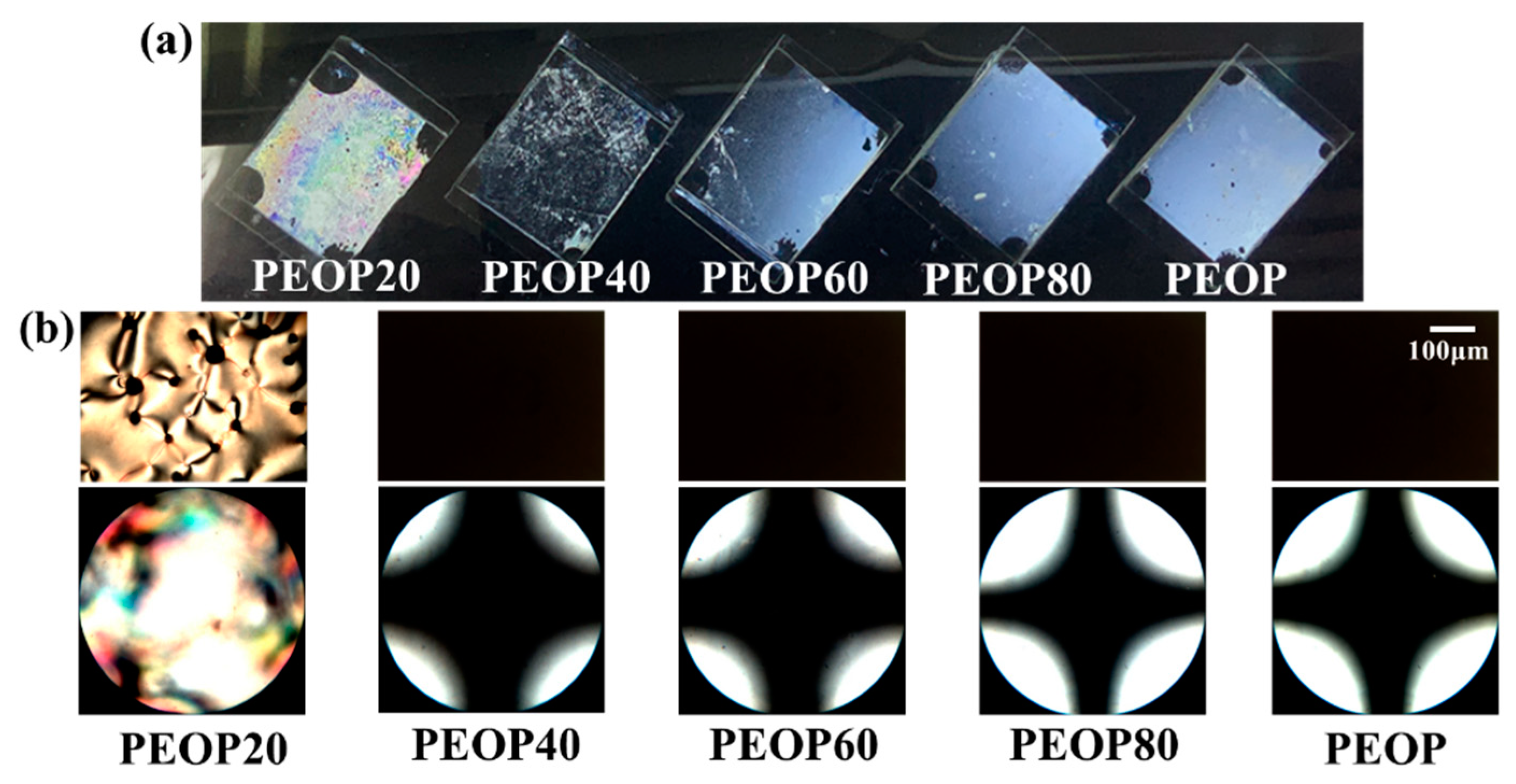 Polymers 13 00736 g005
