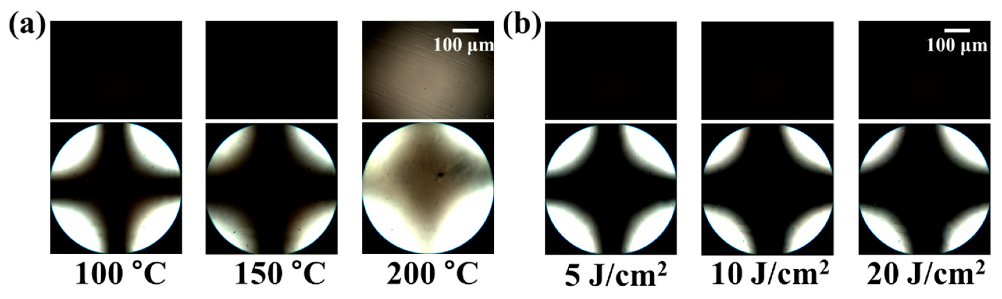 Polymers 13 00736 g007