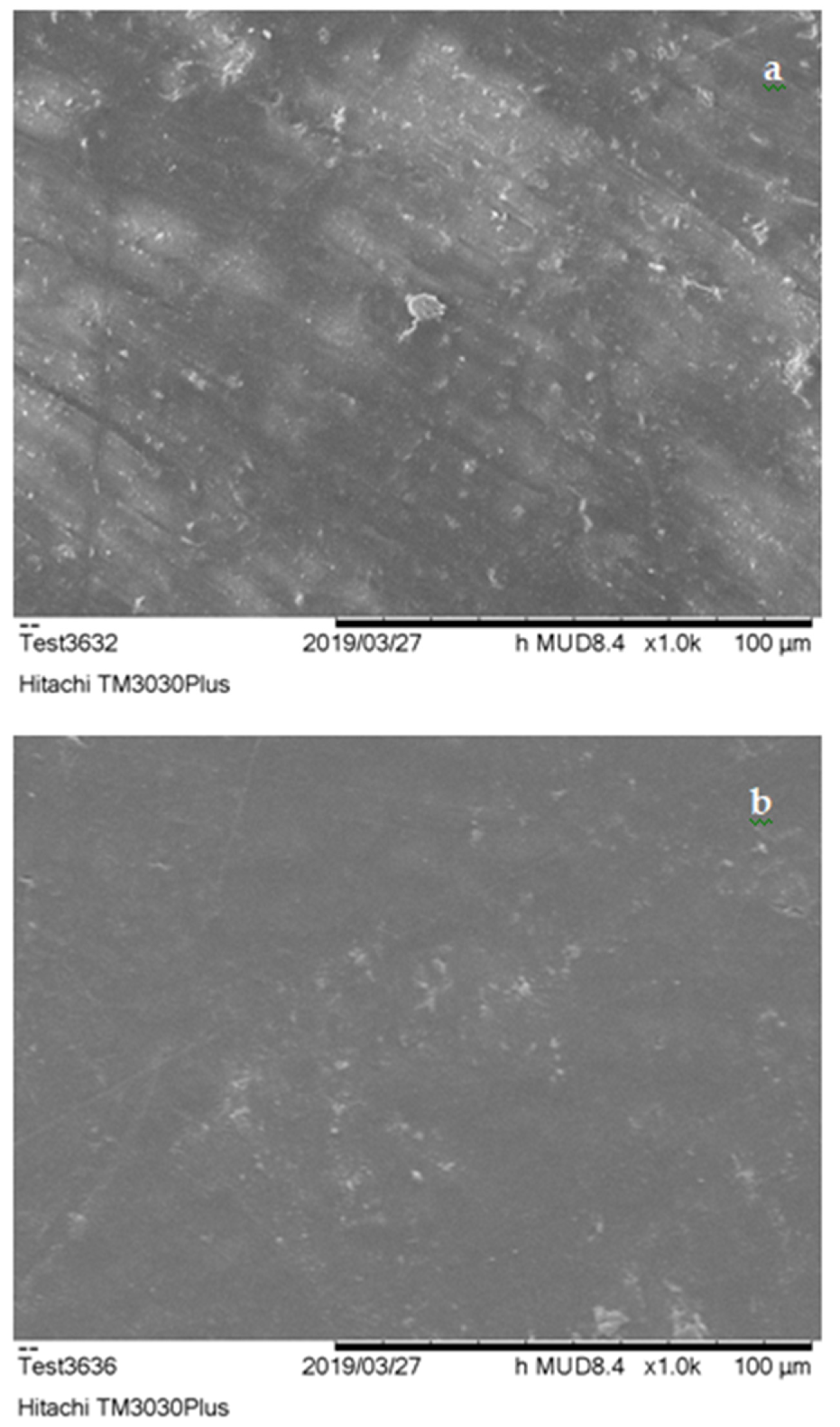 Polymers 13 00737 g004