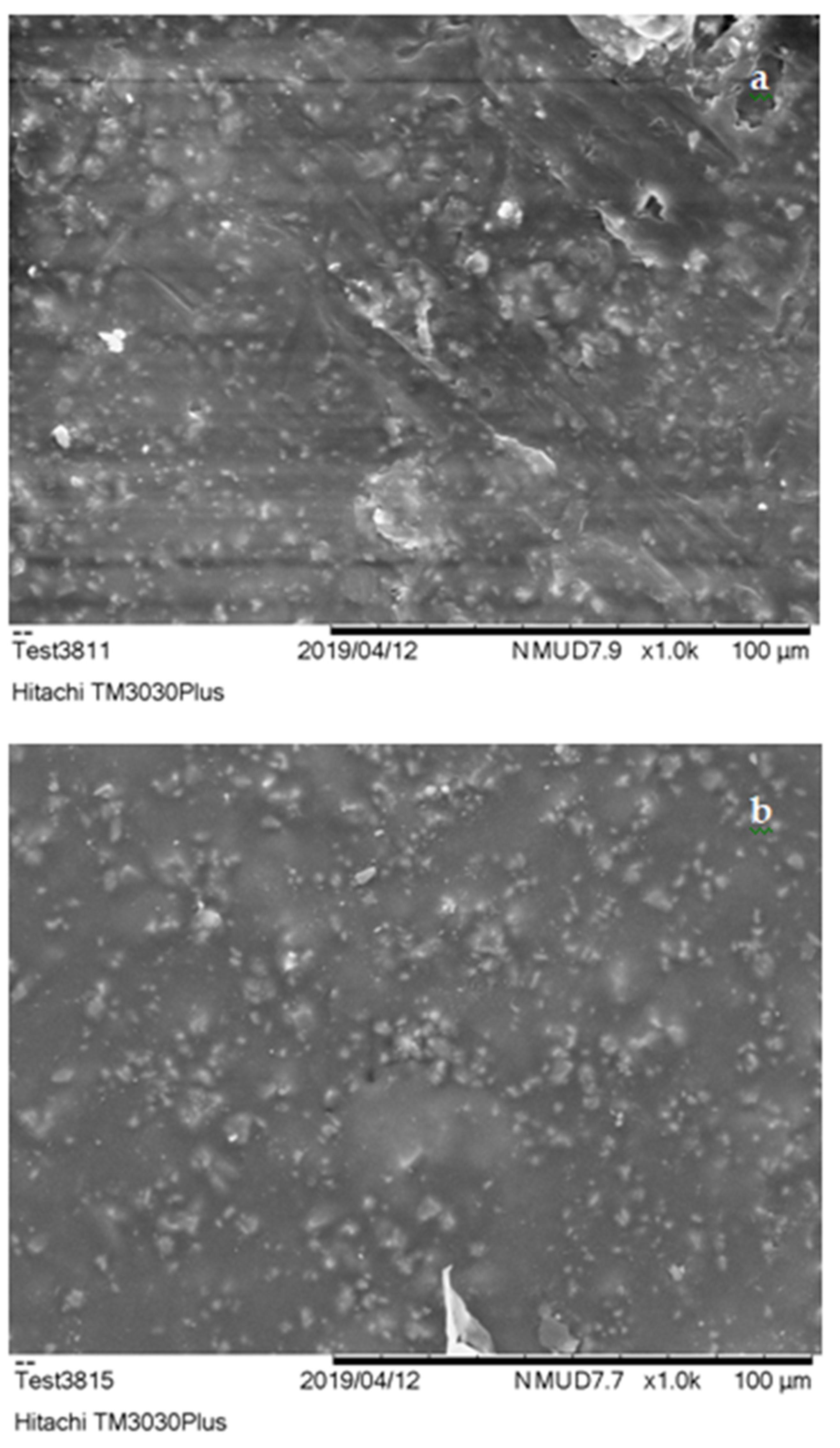 Polymers 13 00737 g005