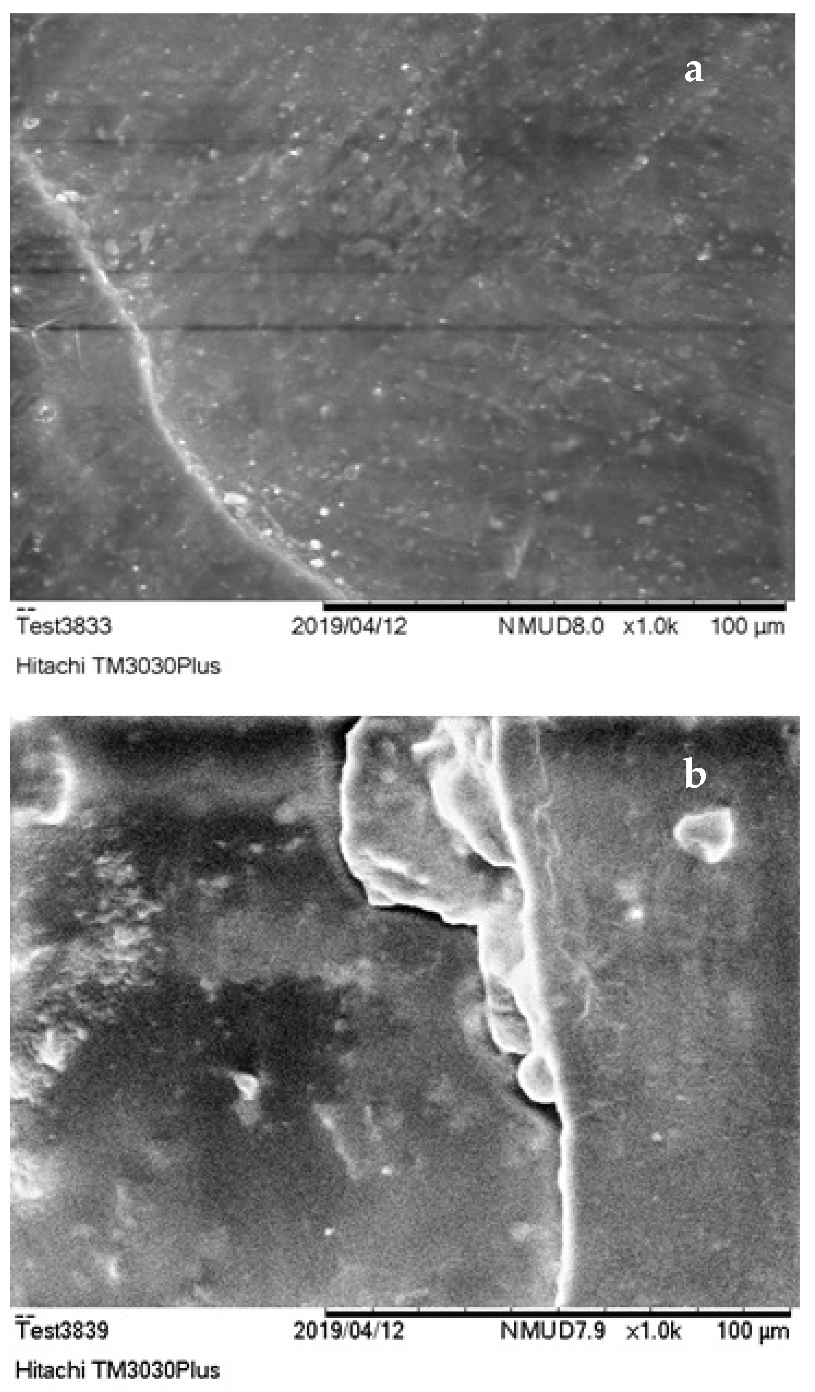 Polymers 13 00737 g006