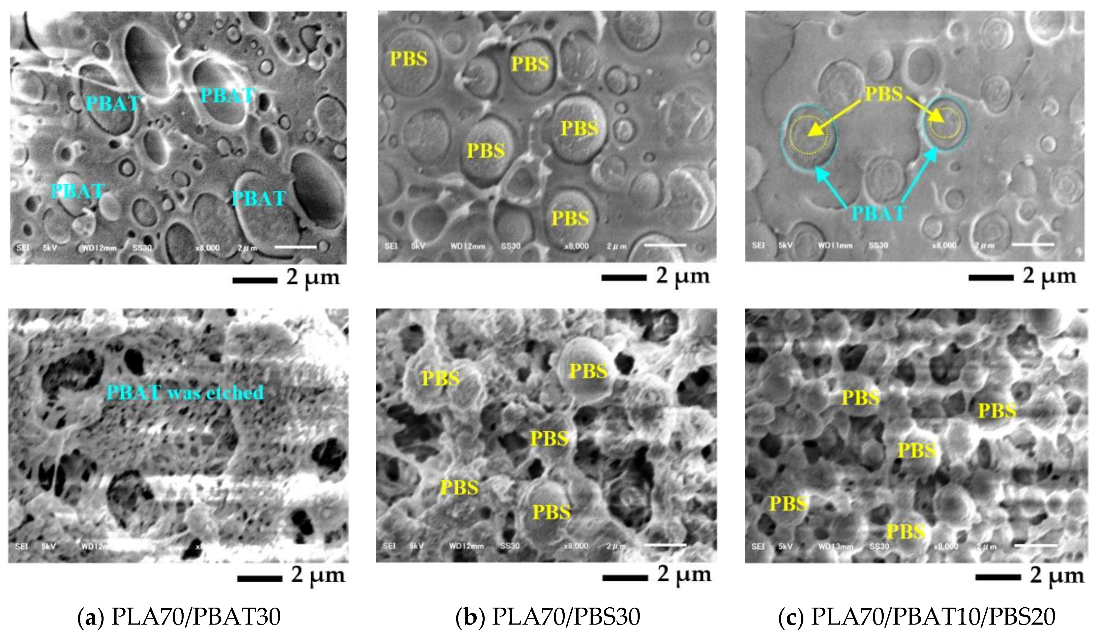 Polymers 13 00740 g008 Polymers 13 00740 g008