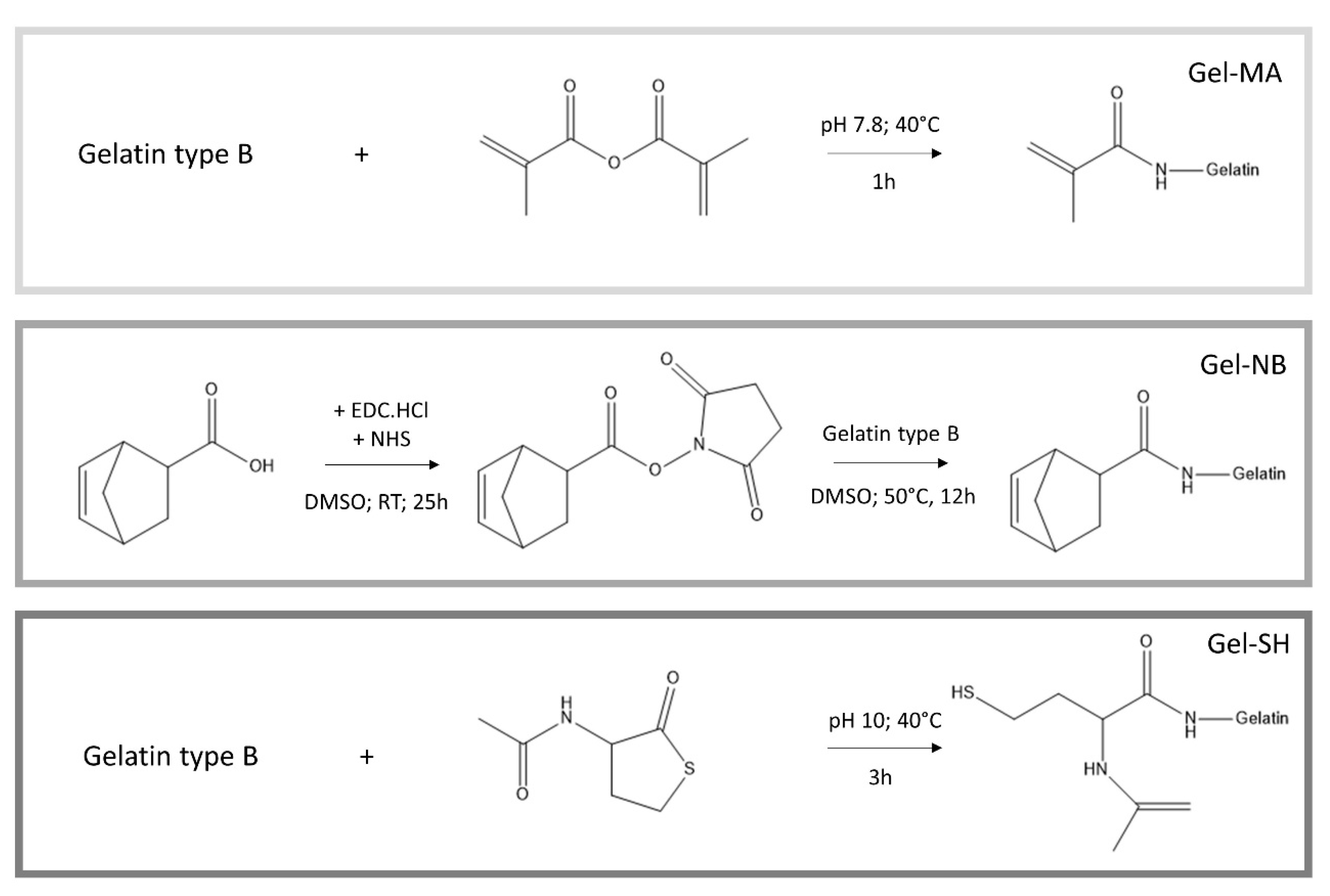Polymers 13 00747 g001