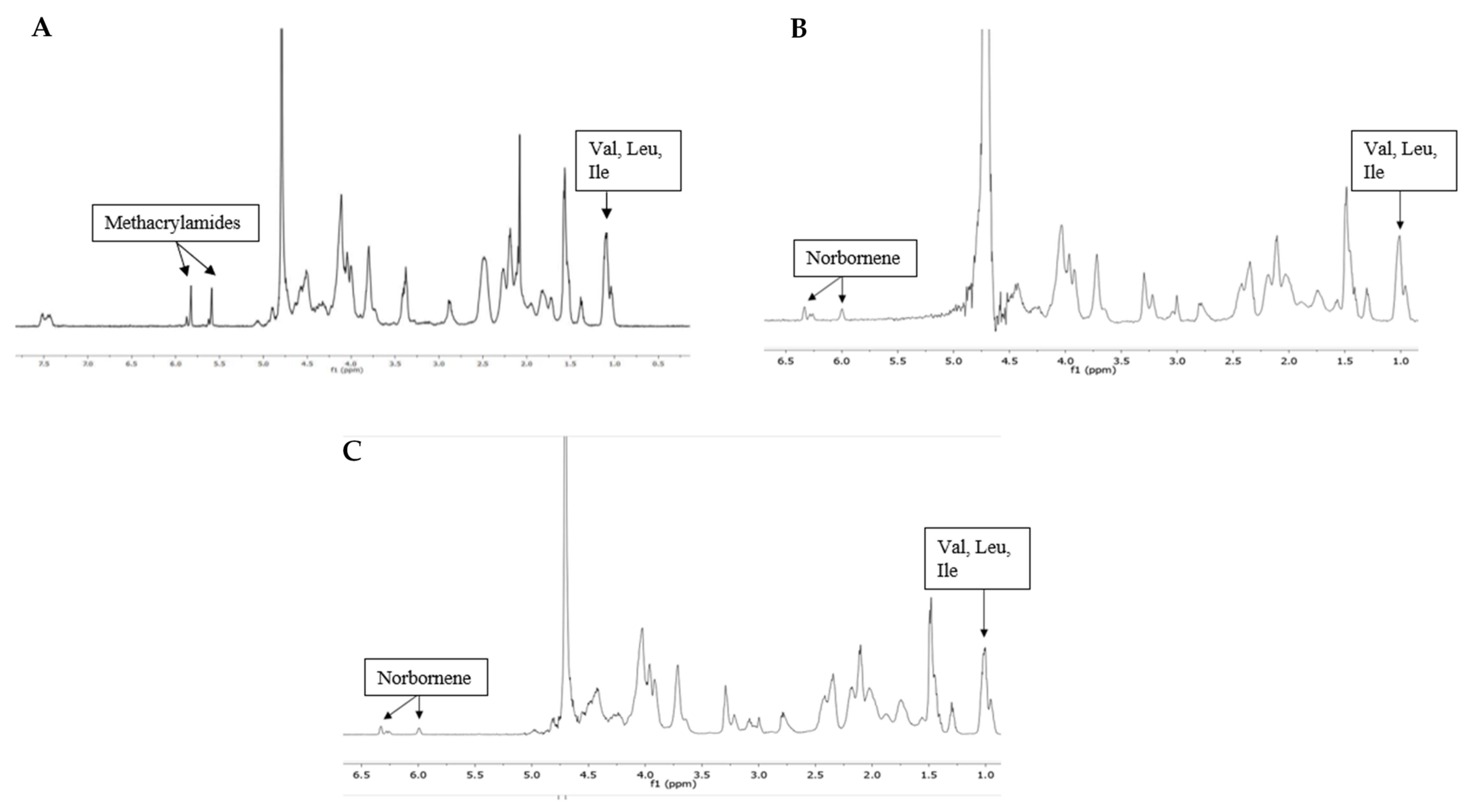 Polymers 13 00747 g003
