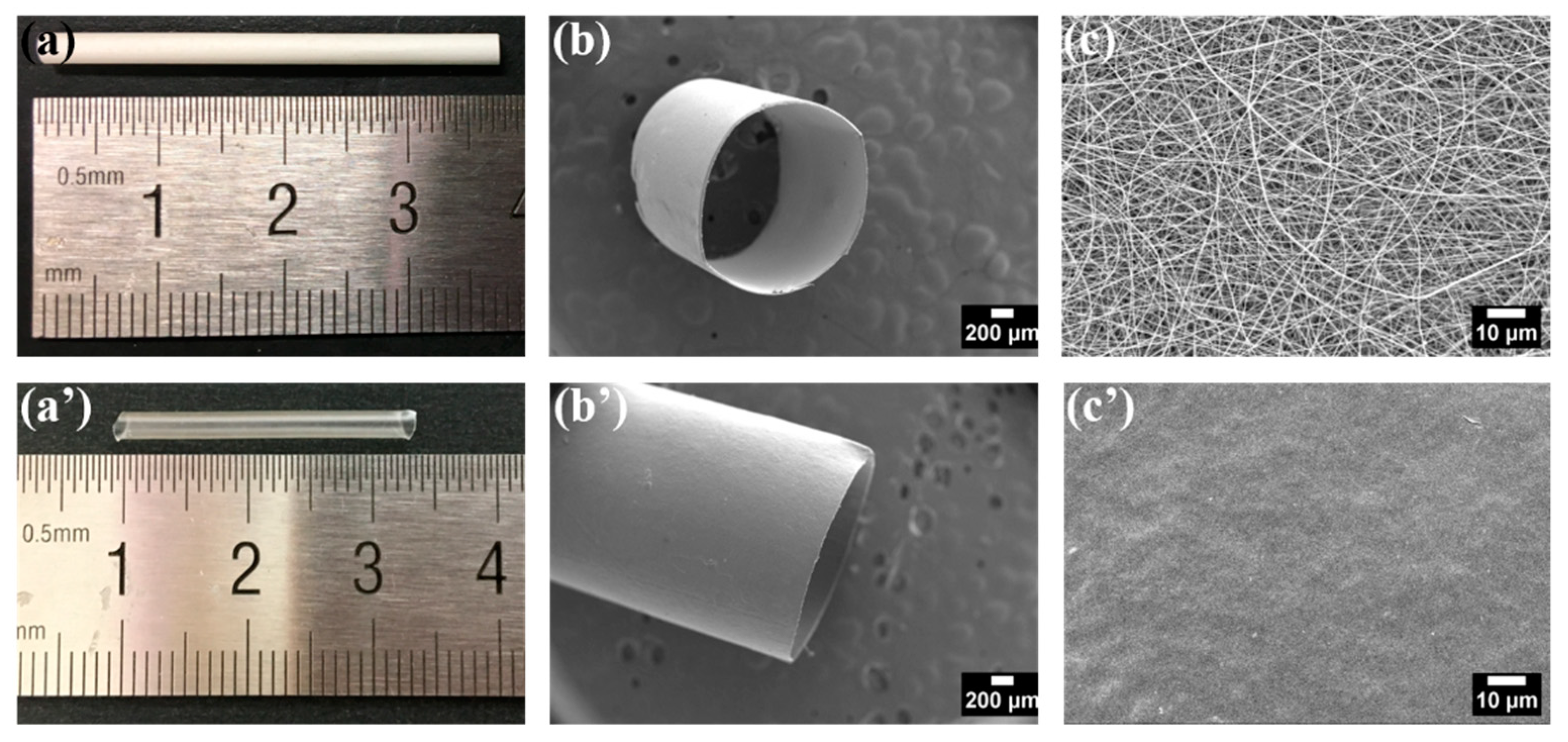 Polymers 13 00755 g005