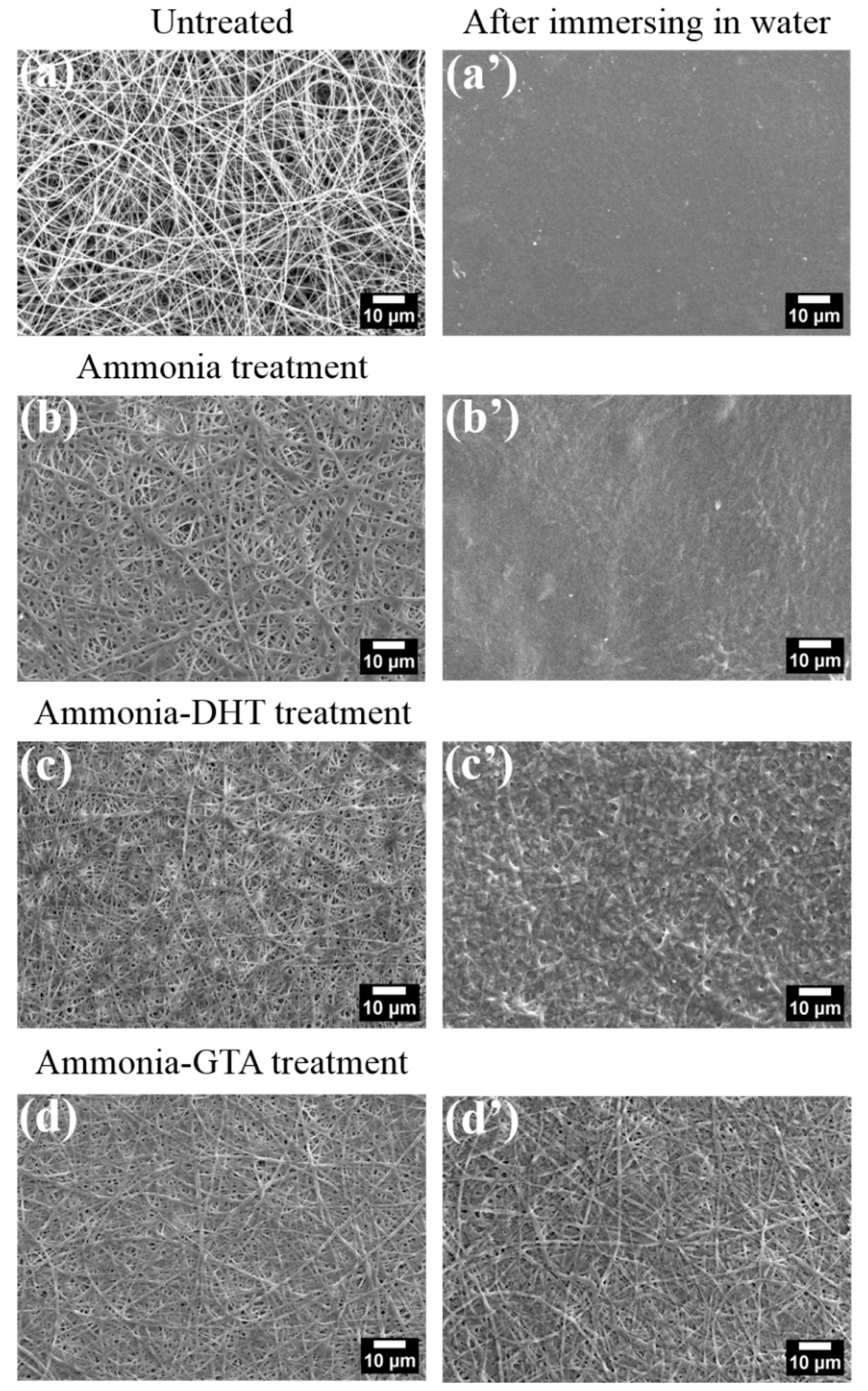 Polymers 13 00755 g006