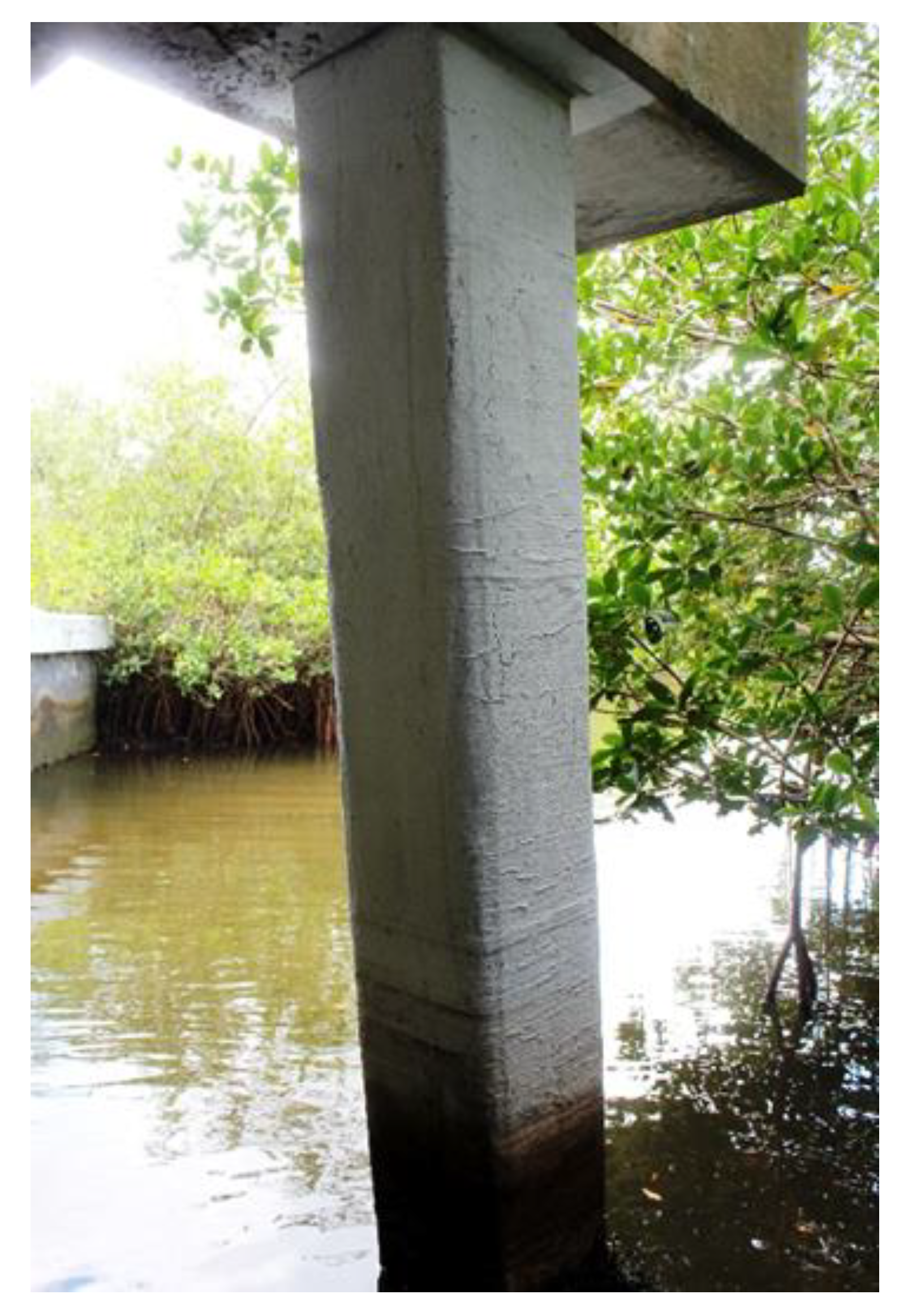 Polymers 13 00765 g003