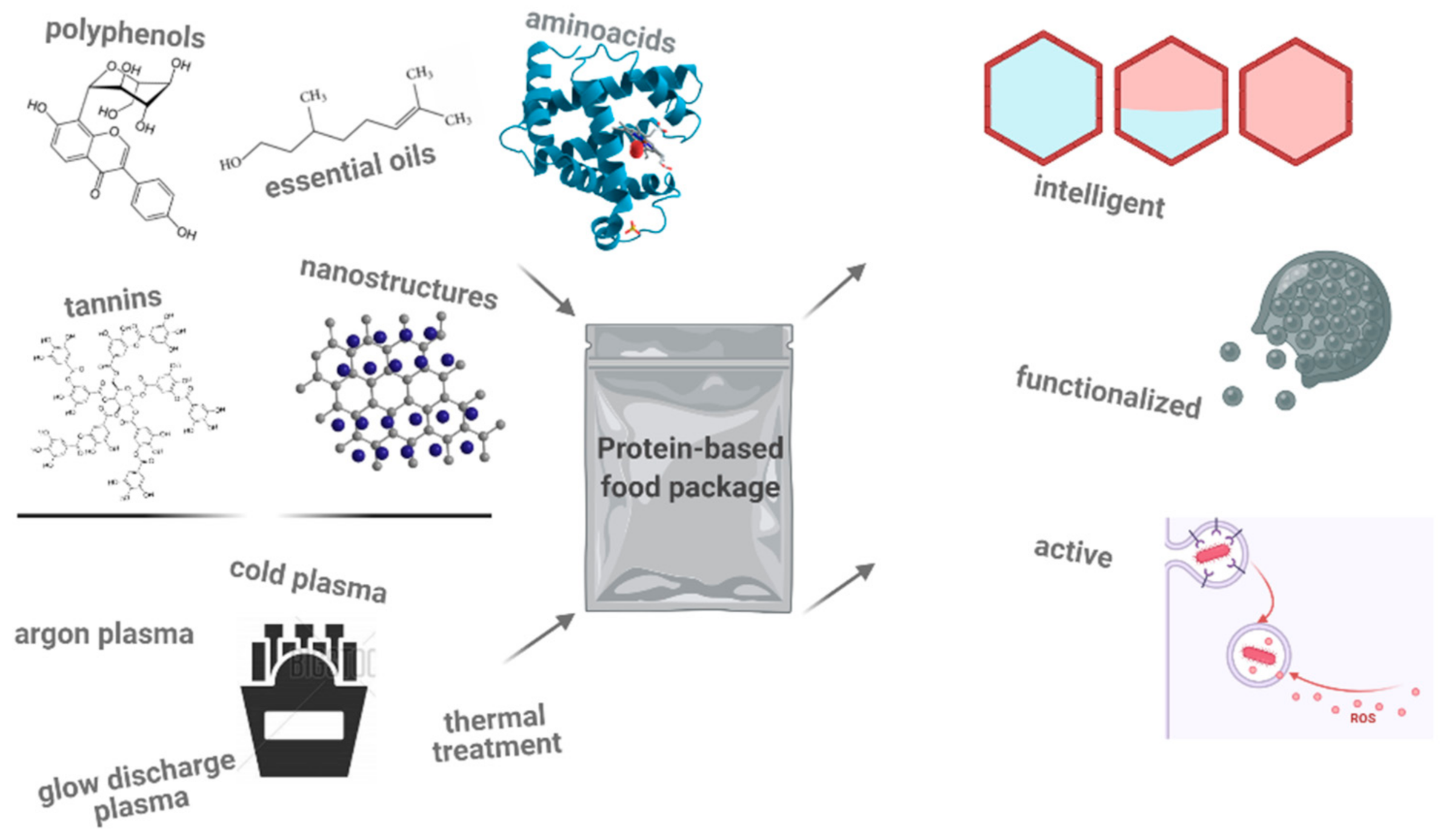 Polymers 13 00769 g001