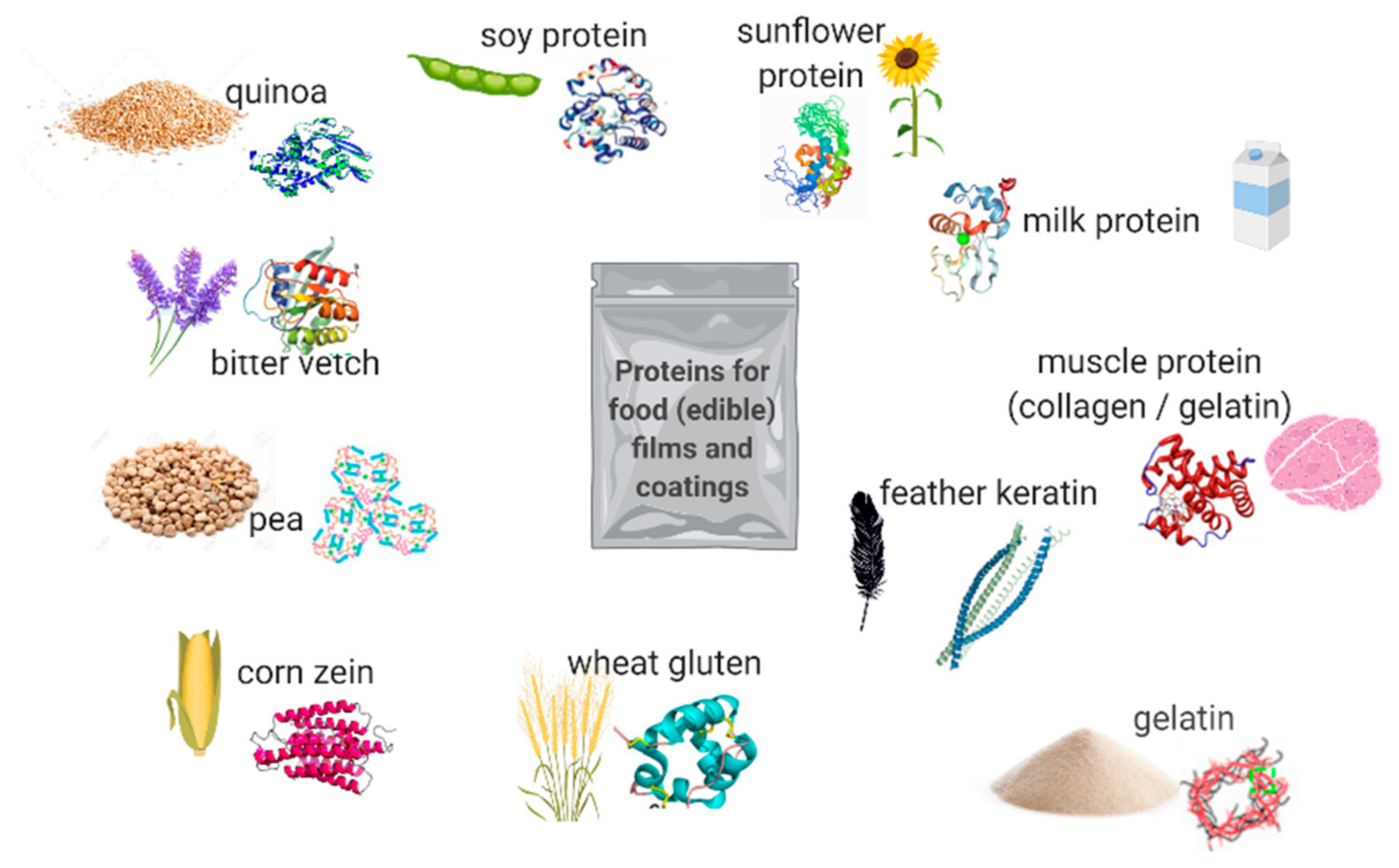 Polymers 13 00769 g002
