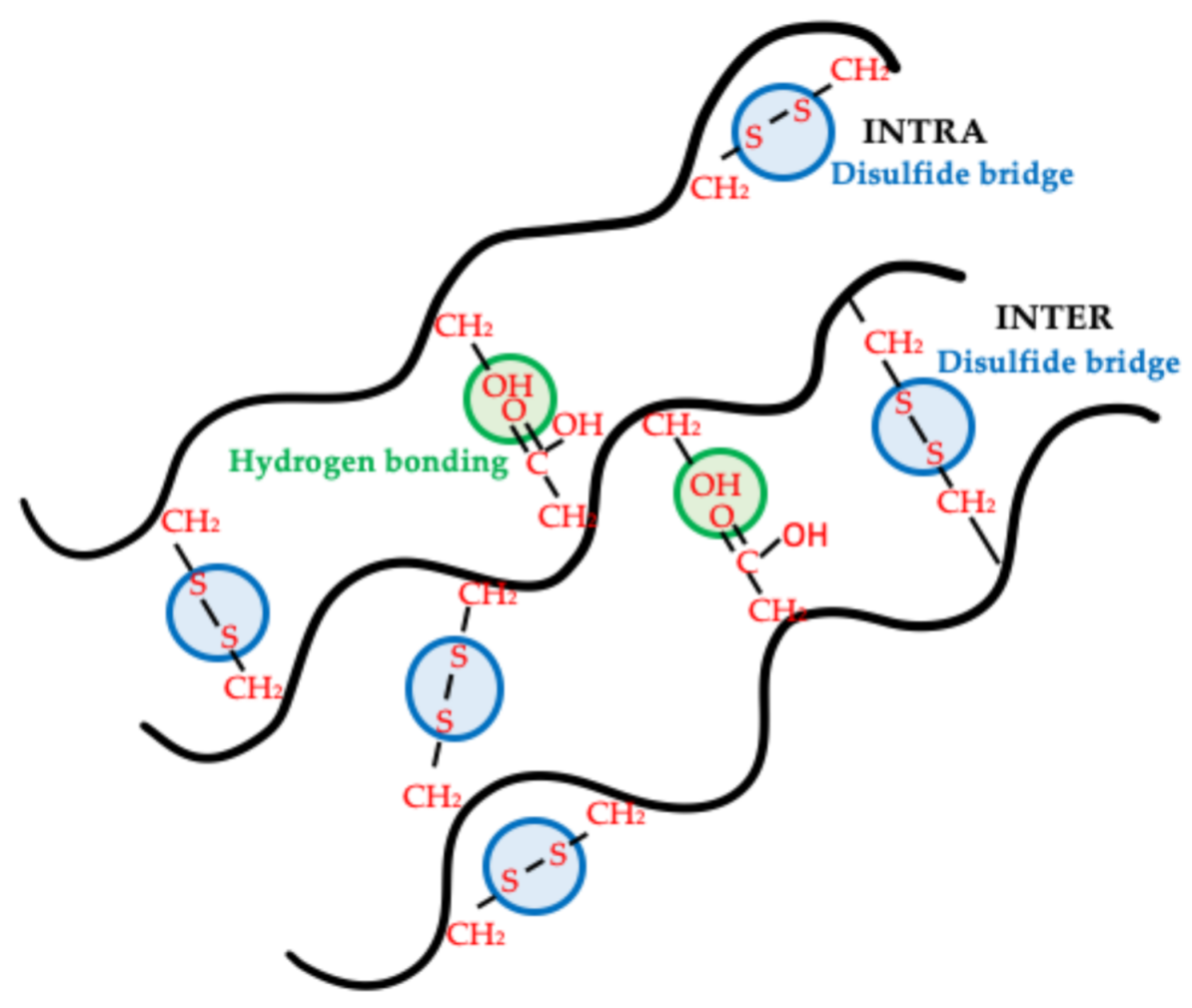 Polymers 13 00772 g006