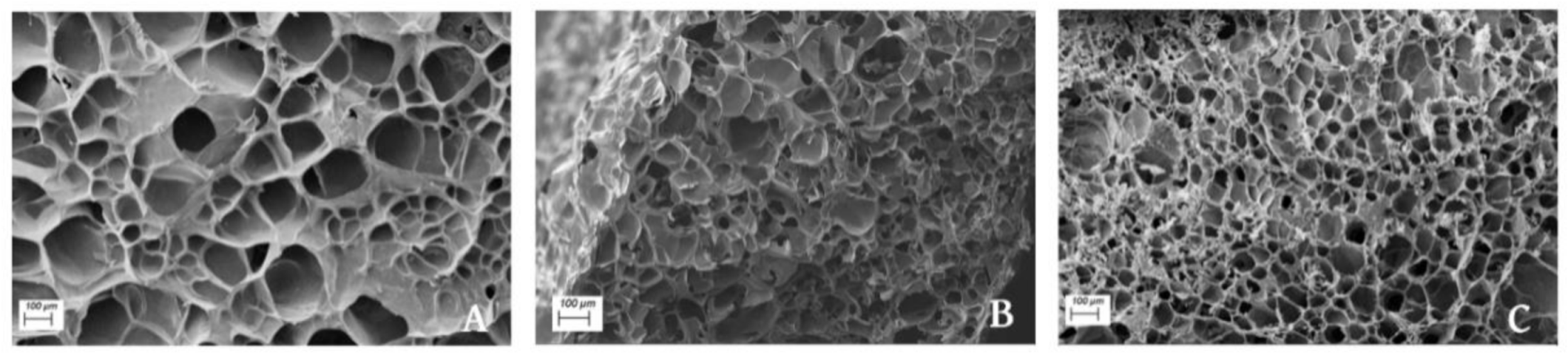 Polymers 13 00772 g008