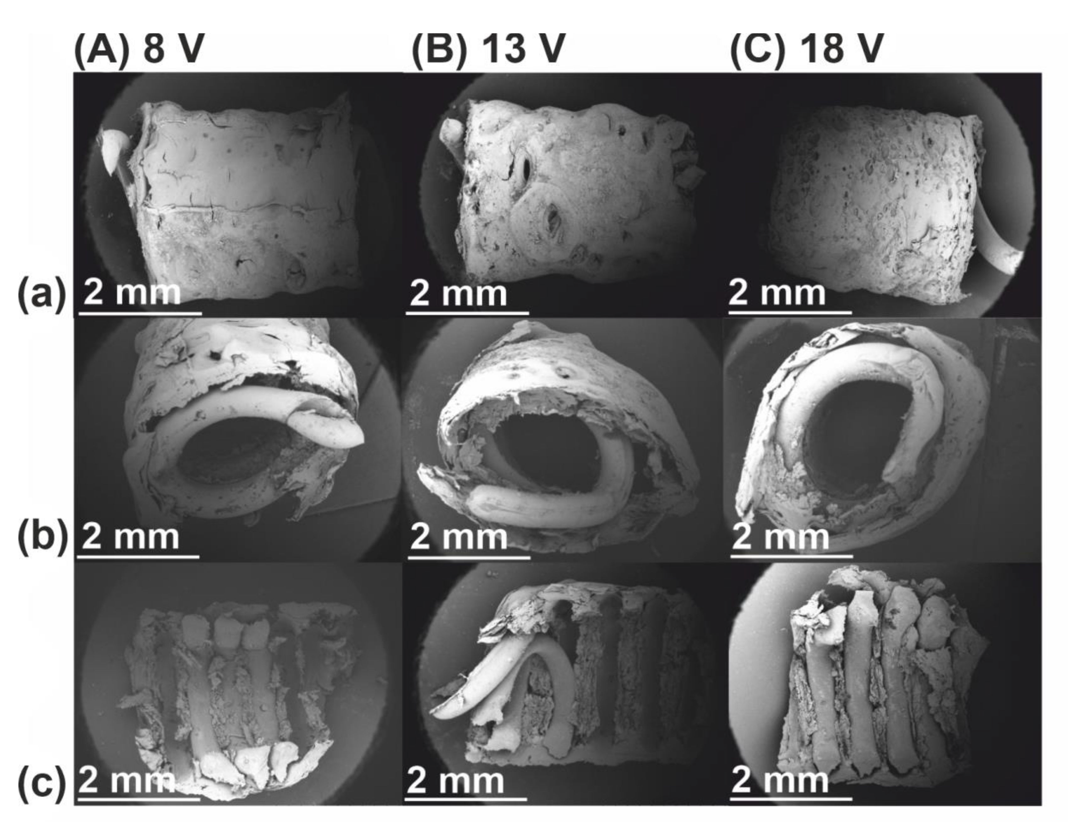 Polymers 13 00775 g004