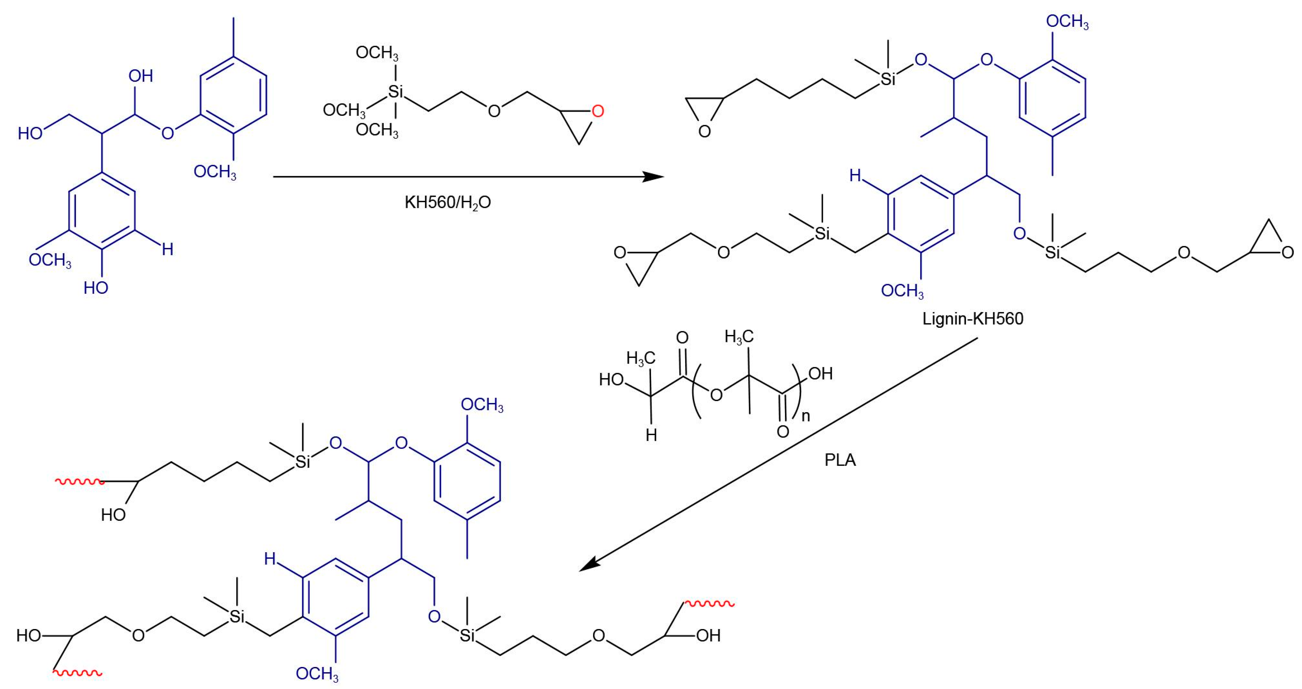 Polymers 13 00776 g005