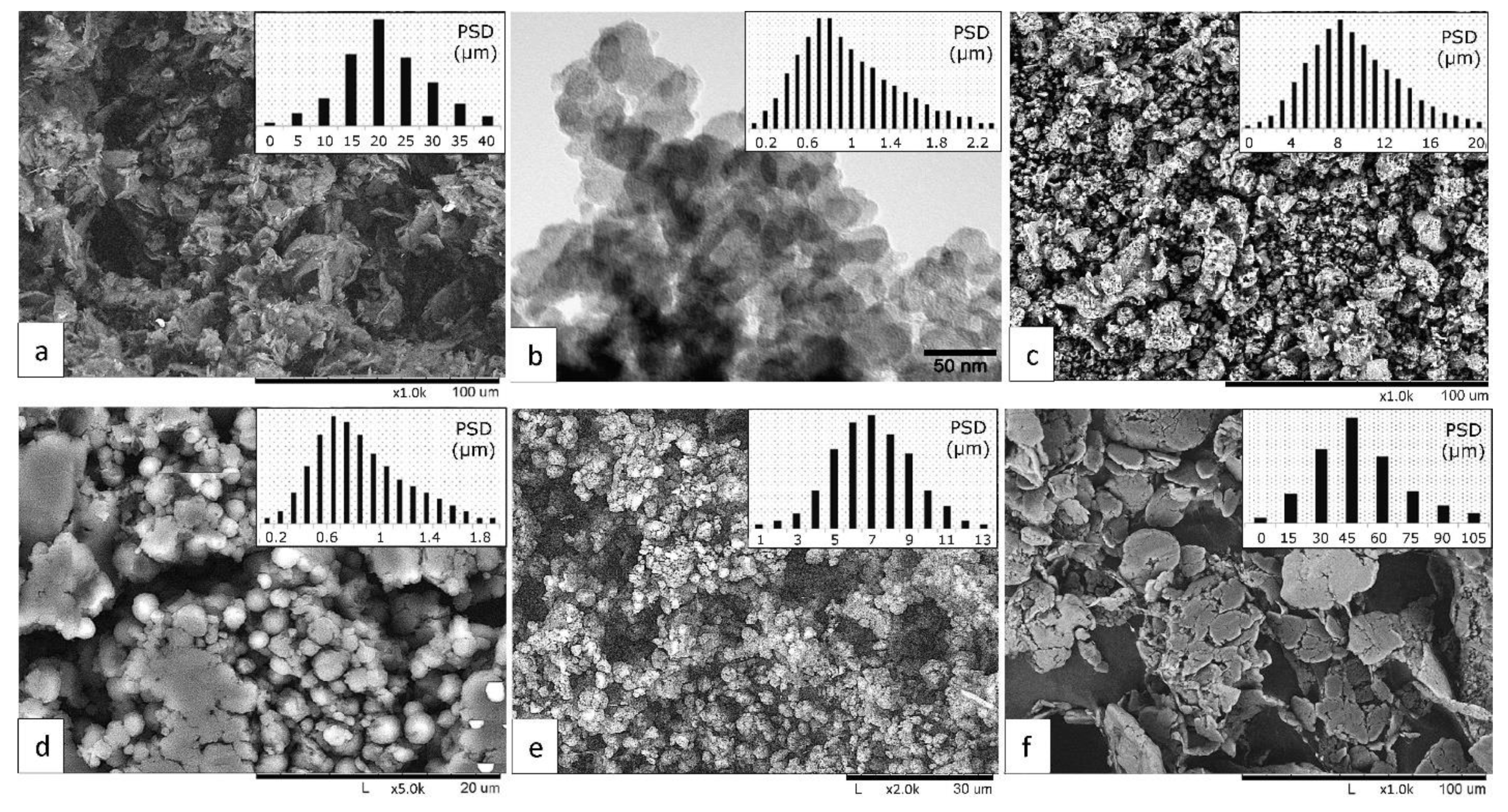 Polymers 13 00781 g001