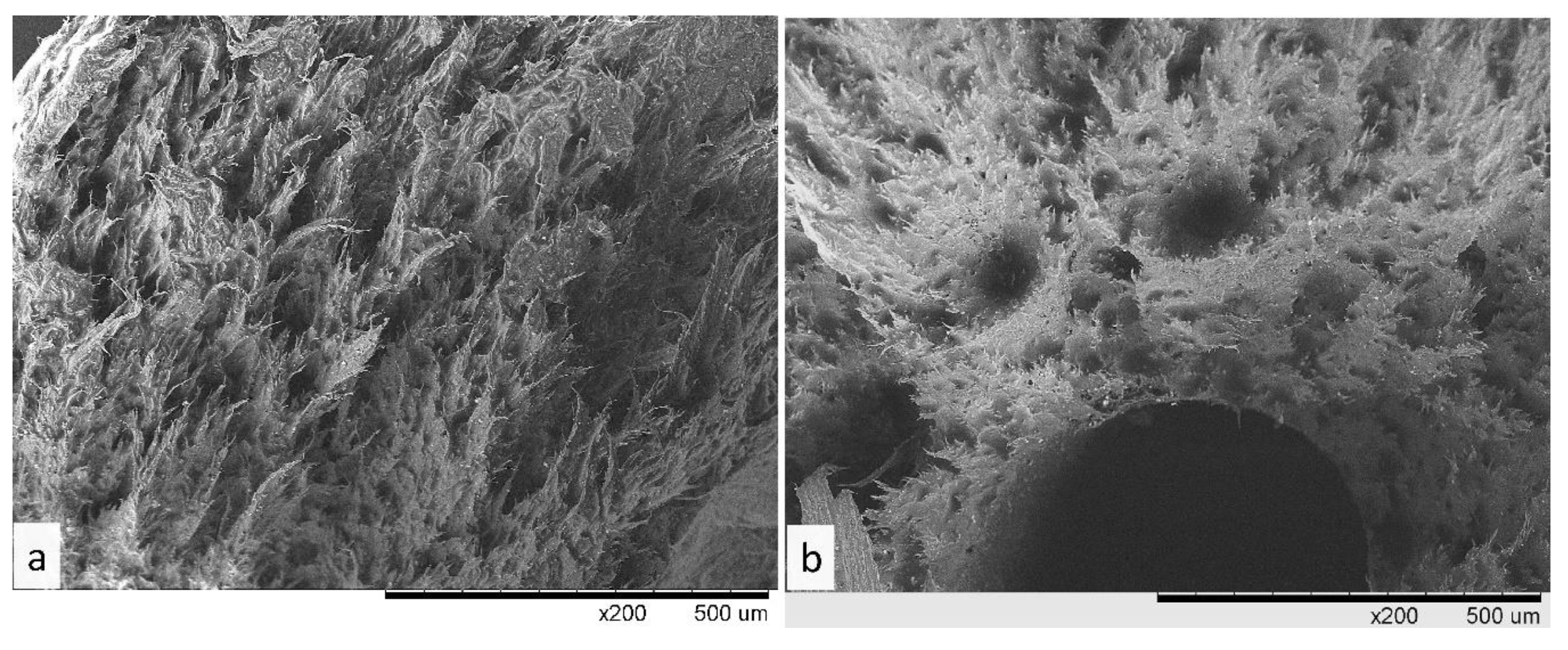 Polymers 13 00781 g007
