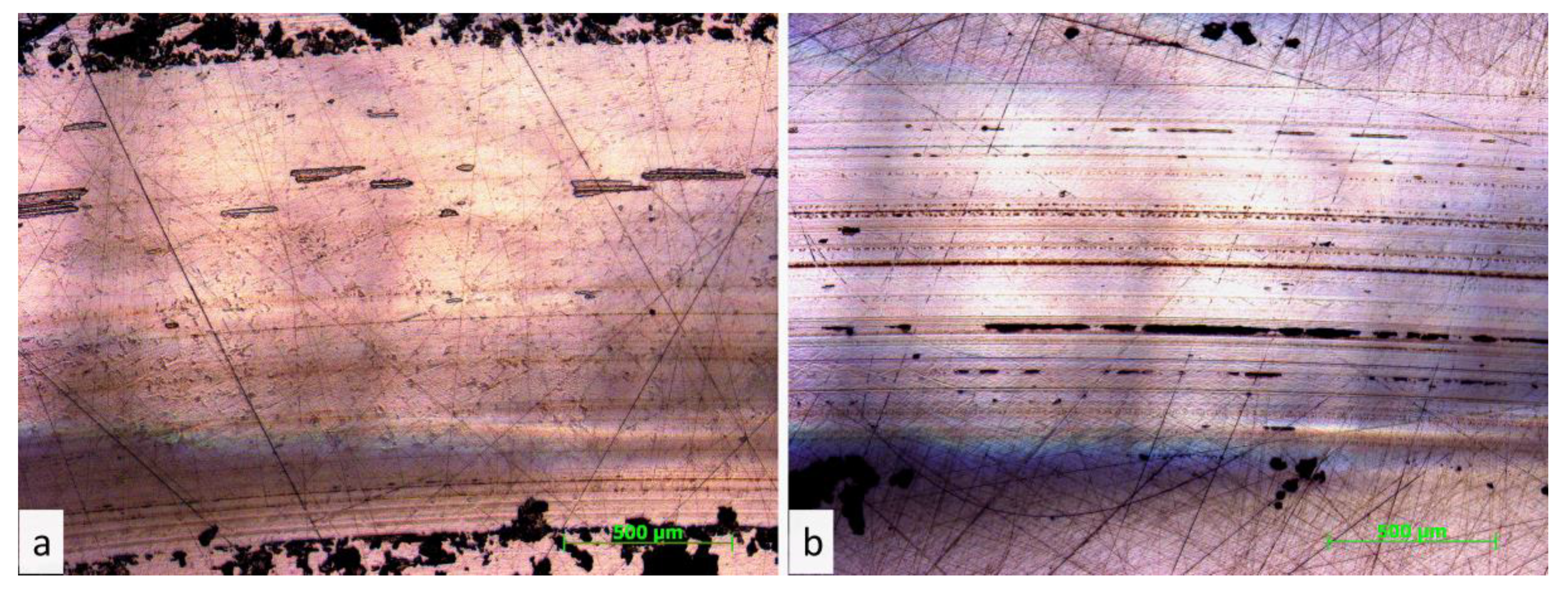 Polymers 13 00781 g009