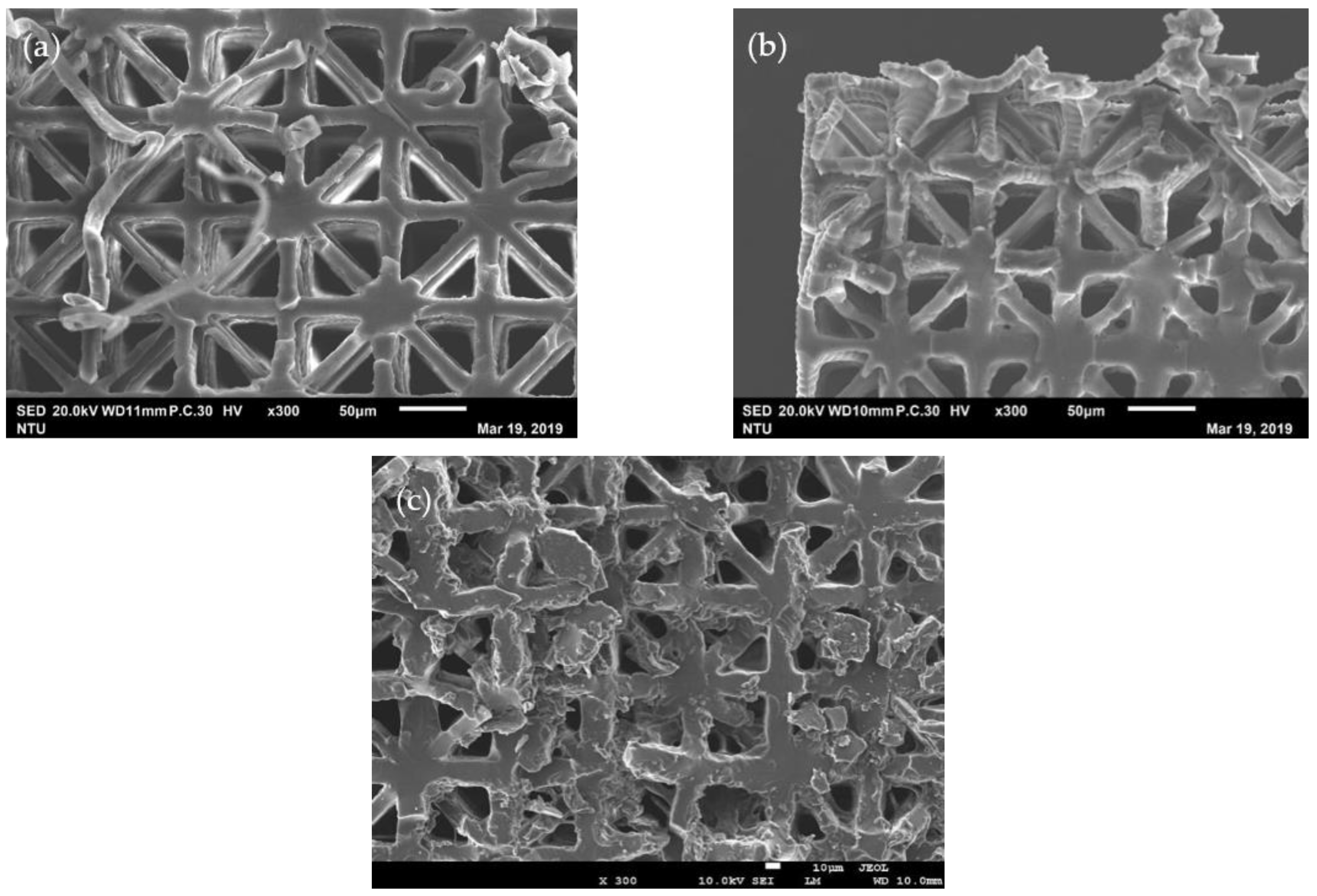 Polymers 13 00785 g005