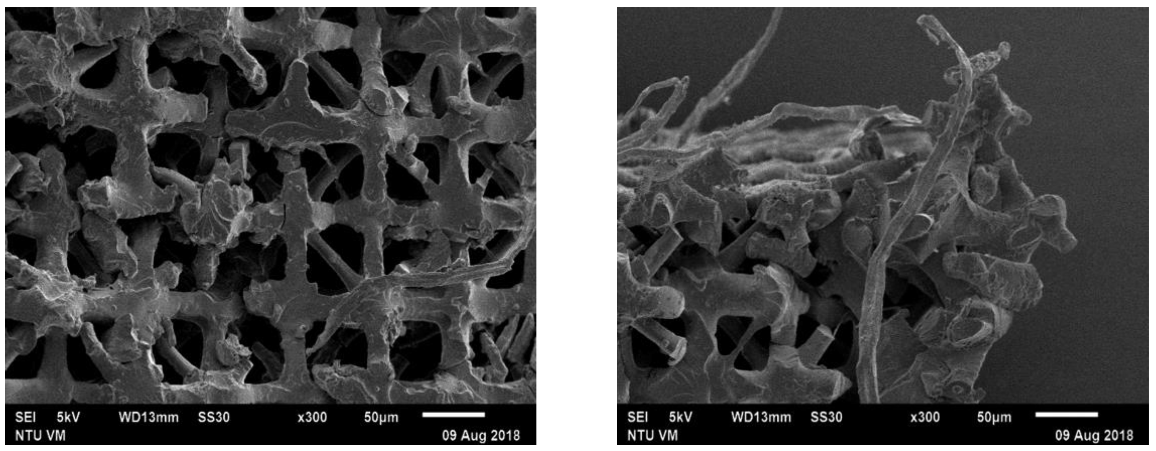 Polymers 13 00785 g011