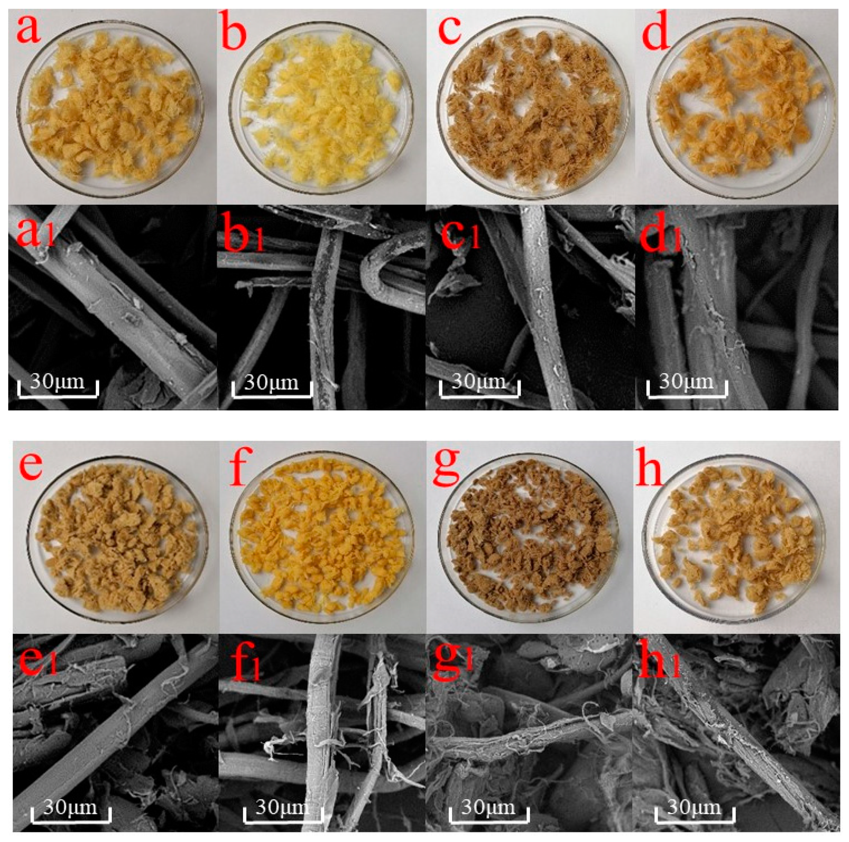 Polymers 13 00787 g001a Polymers 13 00787 g001a