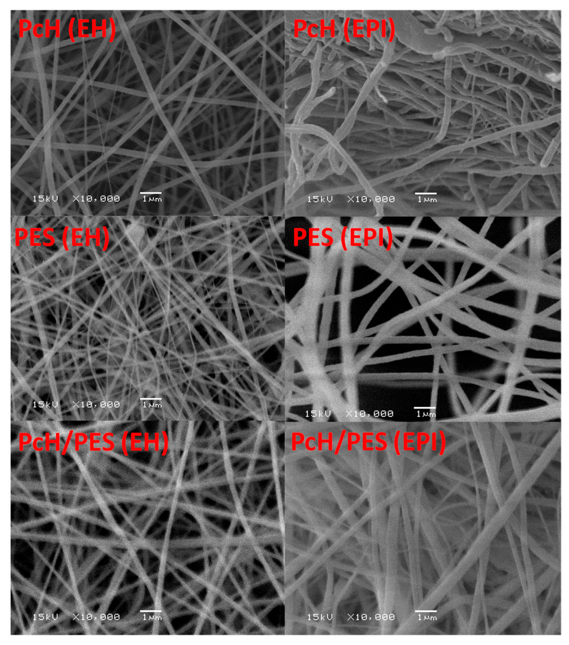 Polymers 13 00790 g009