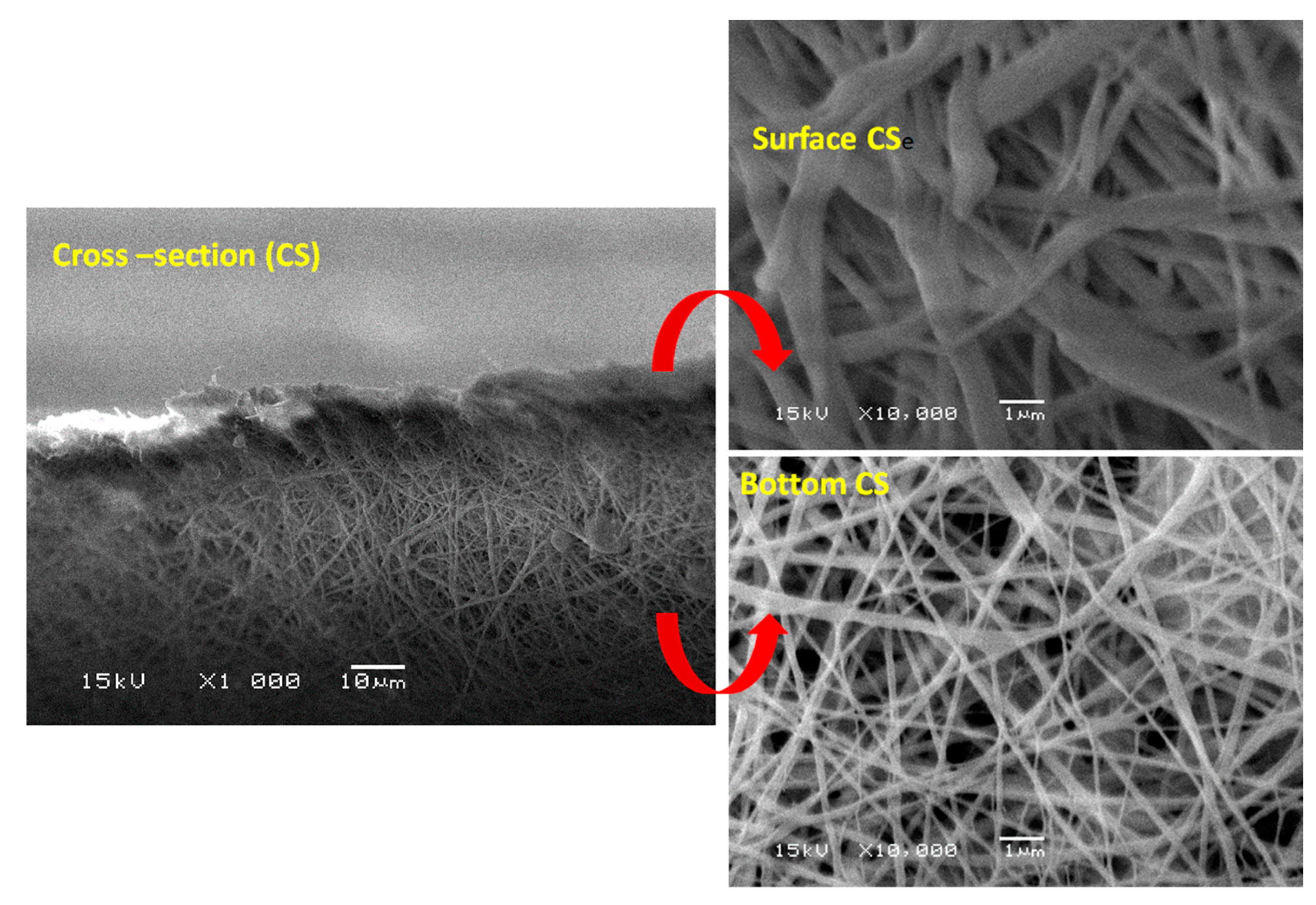 Polymers 13 00790 g010