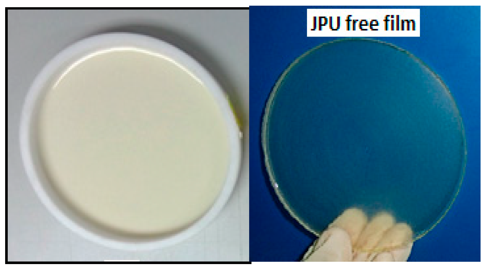 Polymers 13 00795 g002