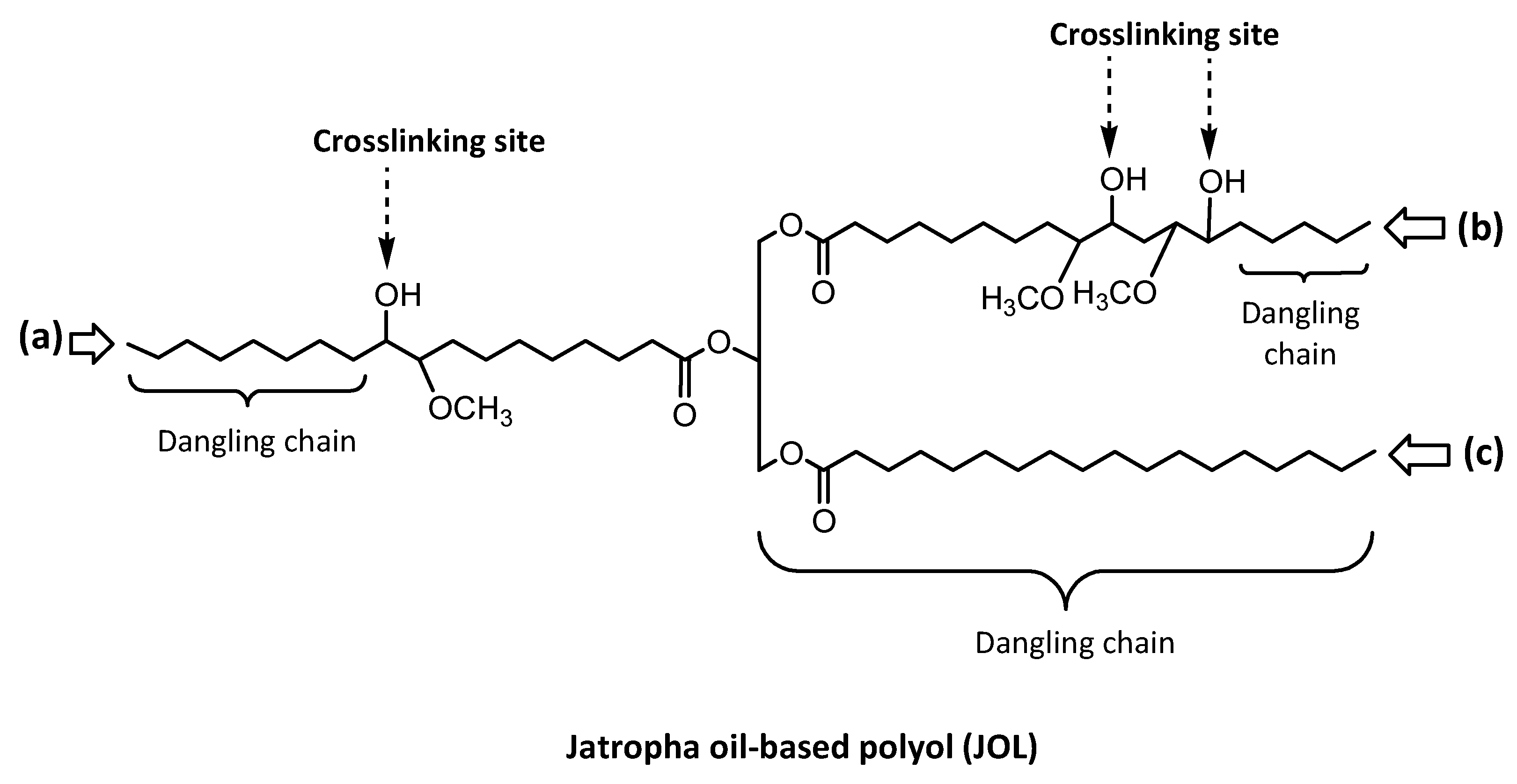 Polymers 13 00795 g006