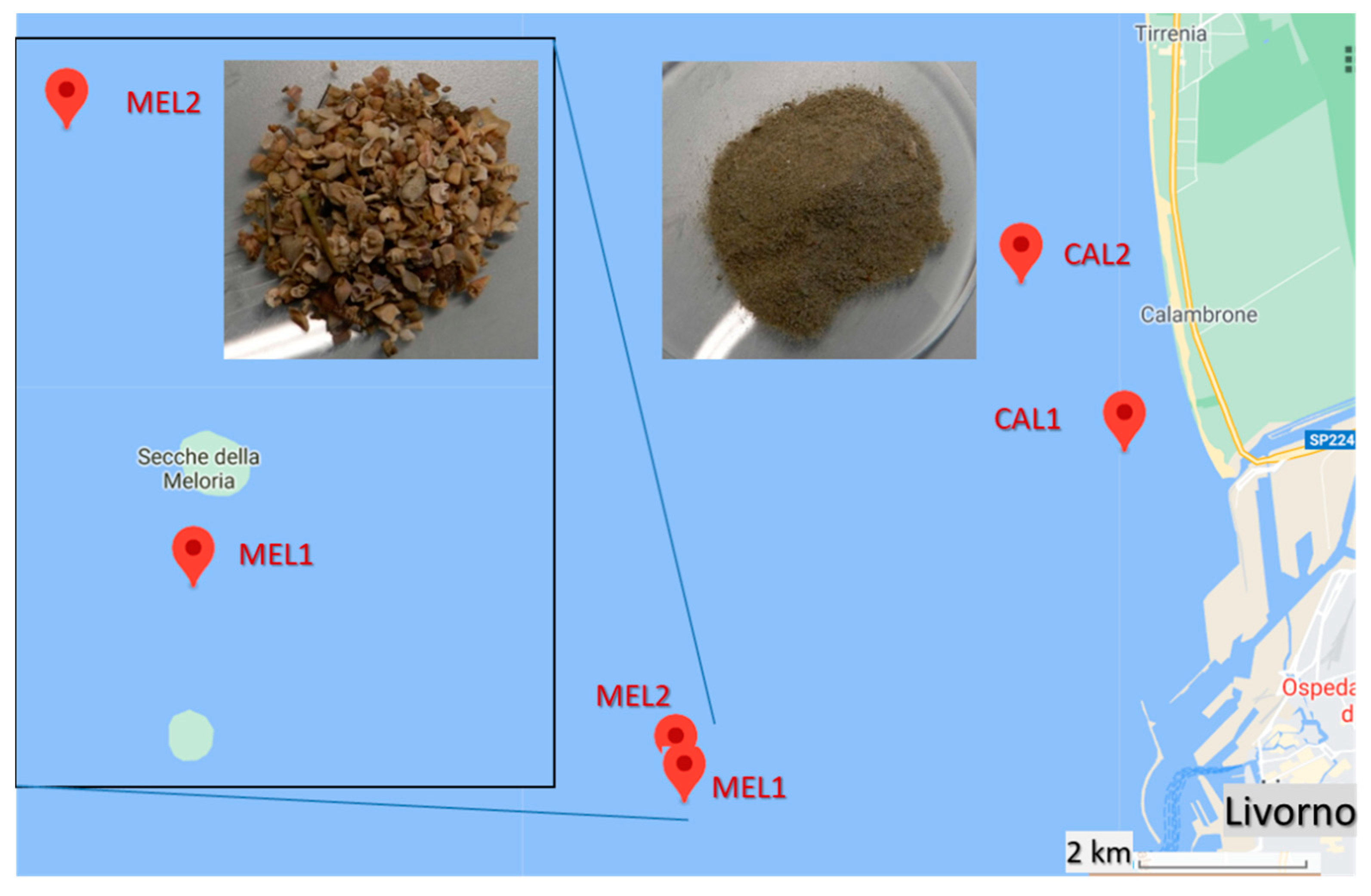 Polymers 13 00796 g001