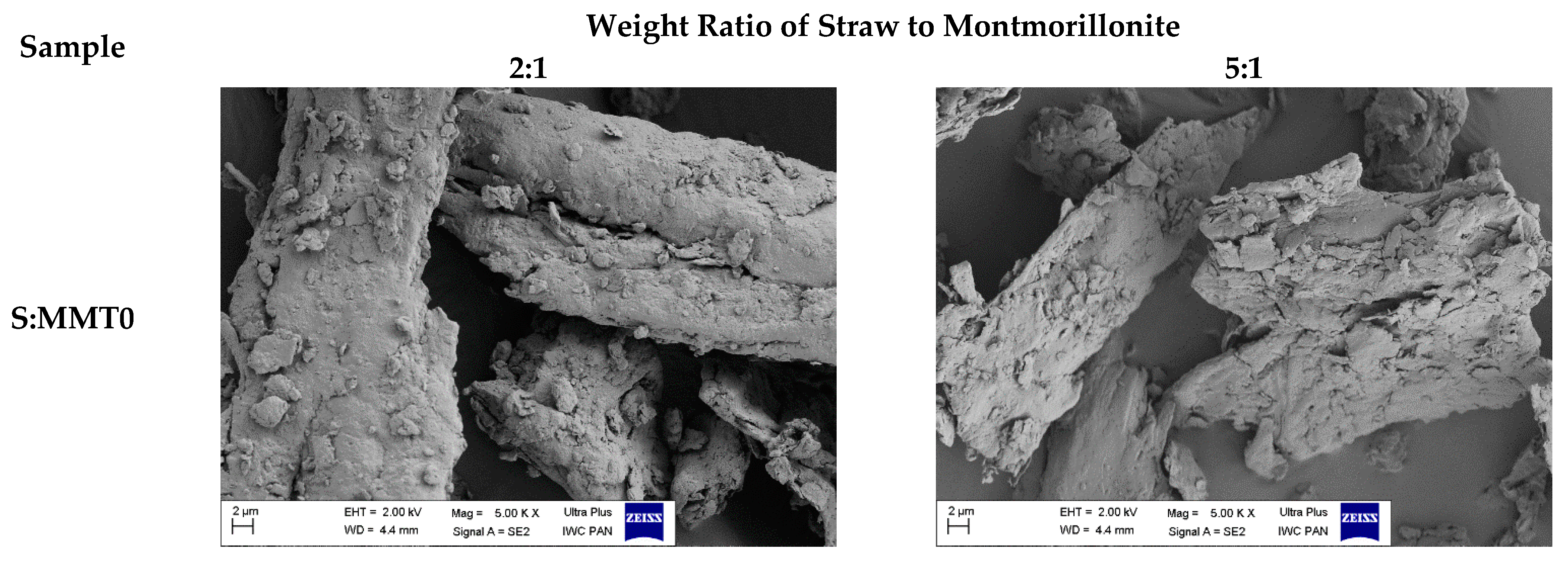 Polymers 13 00799 g003a