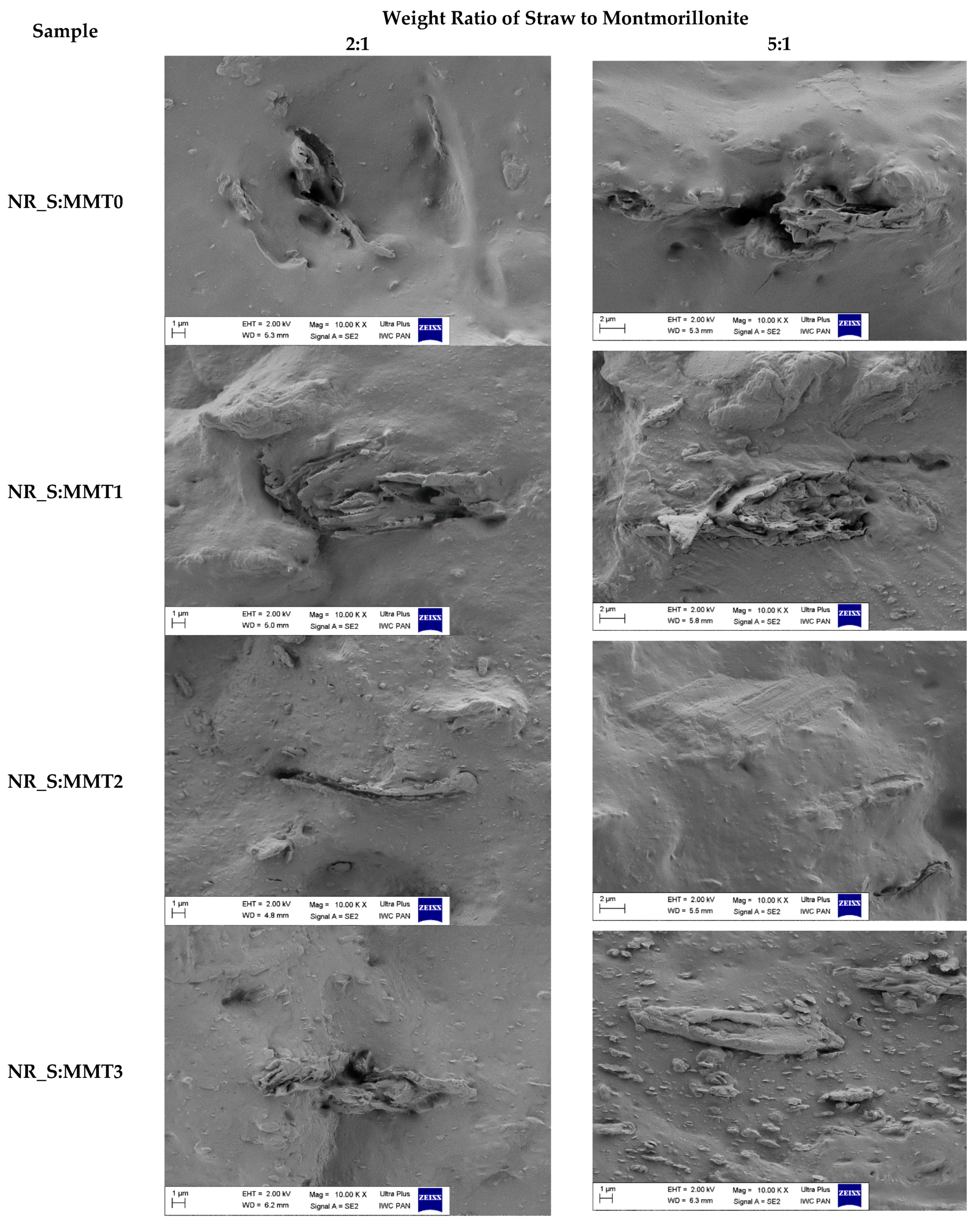 Polymers 13 00799 g006