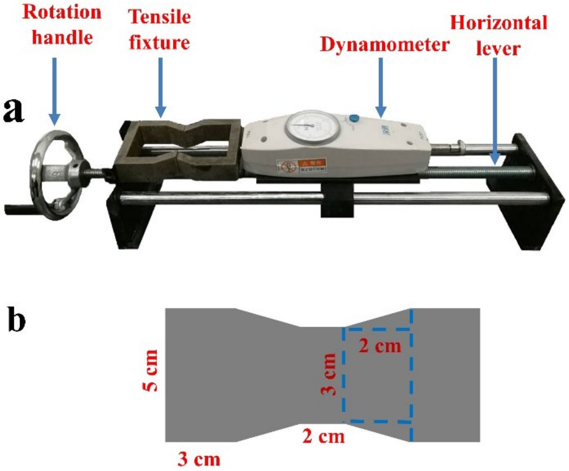 Polymers 13 00802 g004