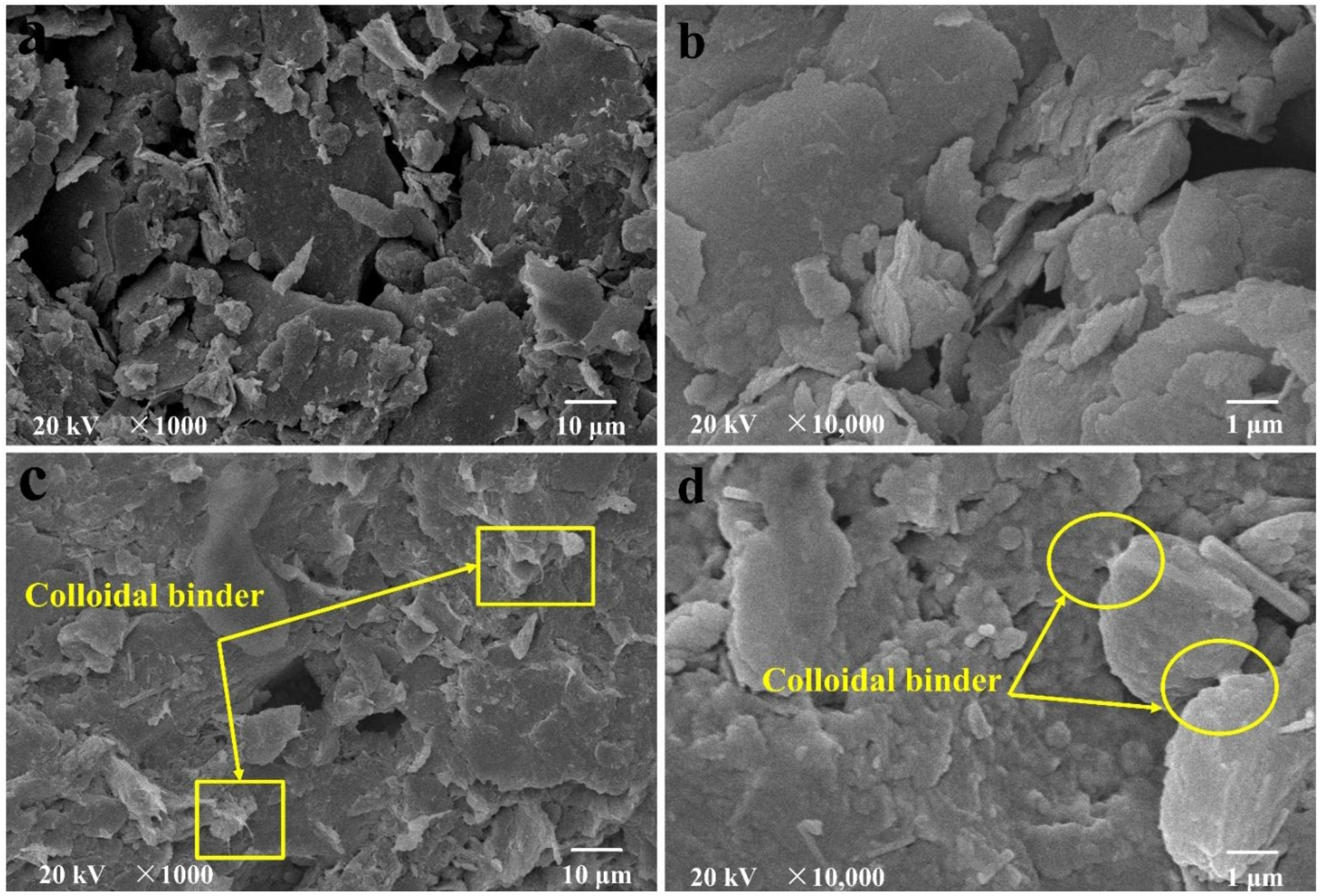 Polymers 13 00802 g007