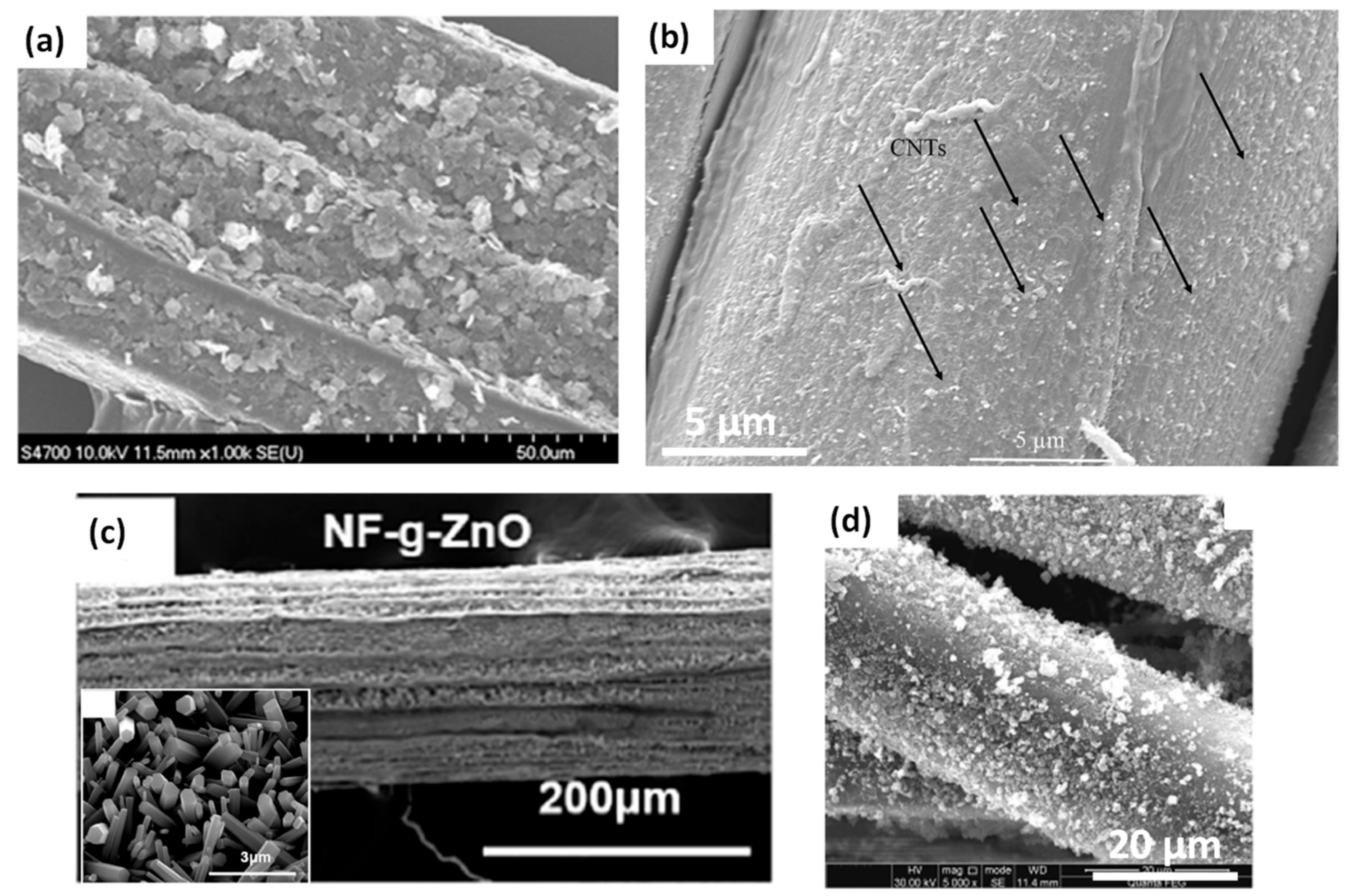 Polymers 13 00804 g009 Polymers 13 00804 g009