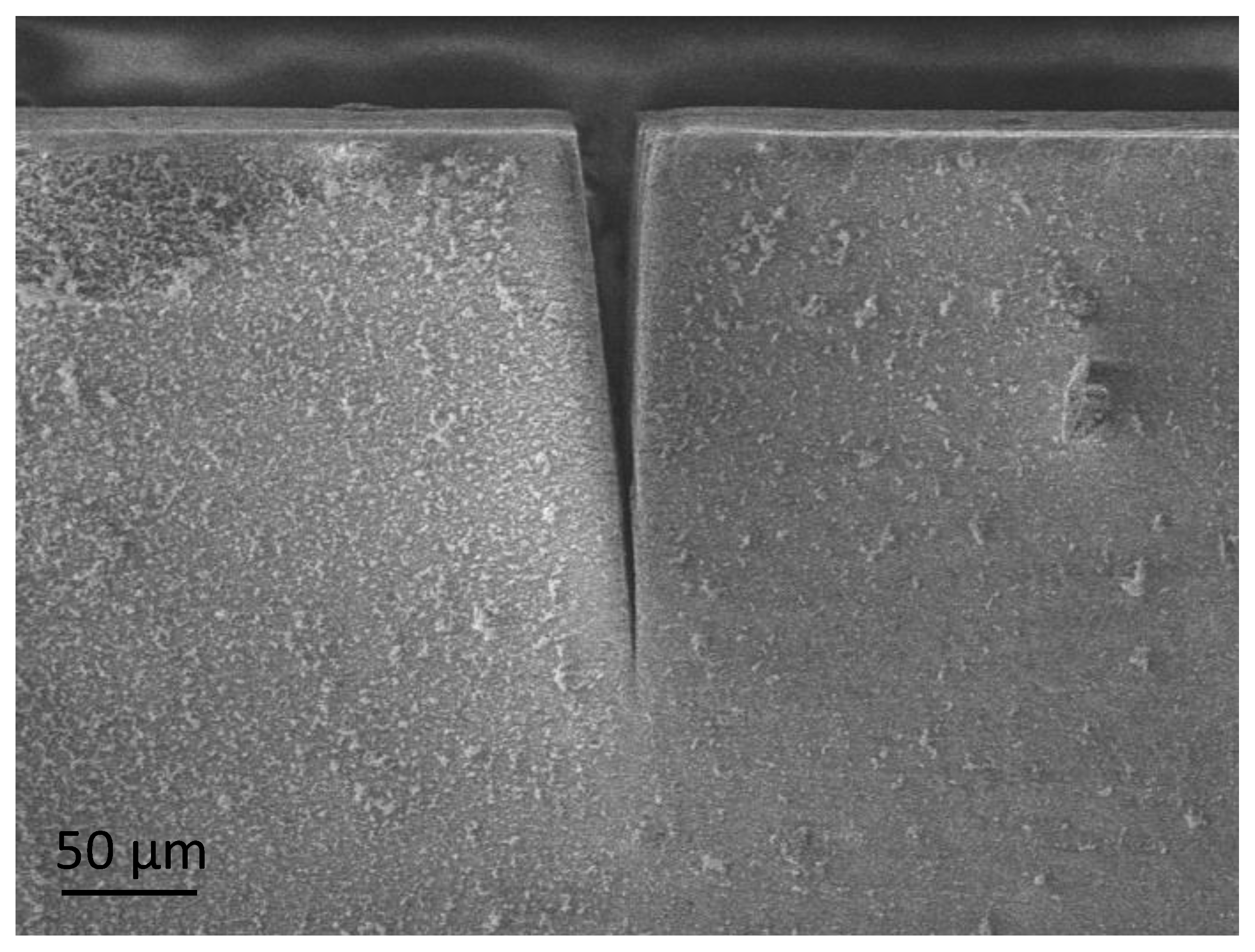 Polymers 13 00808 g002