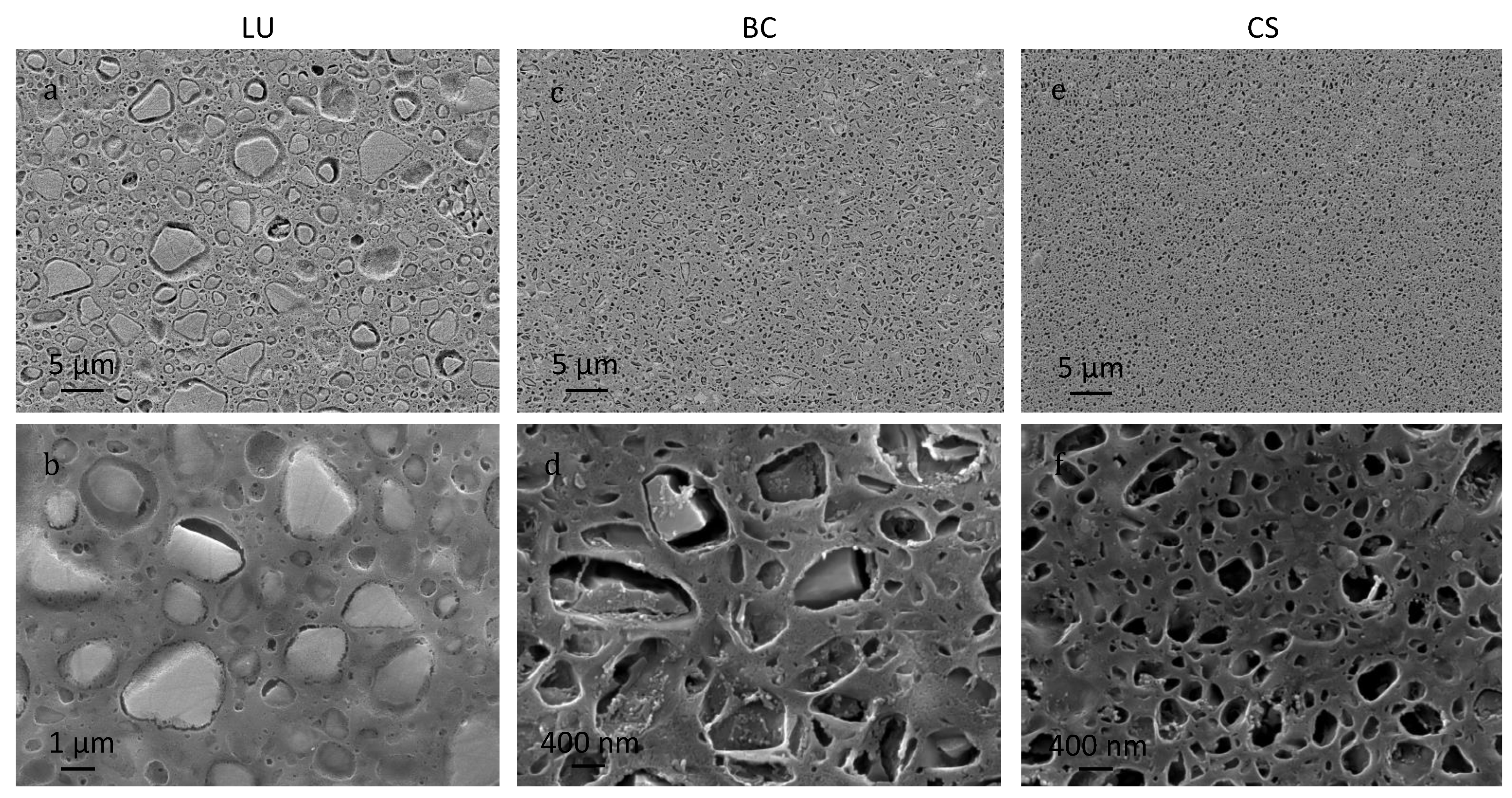 Polymers 13 00808 g005