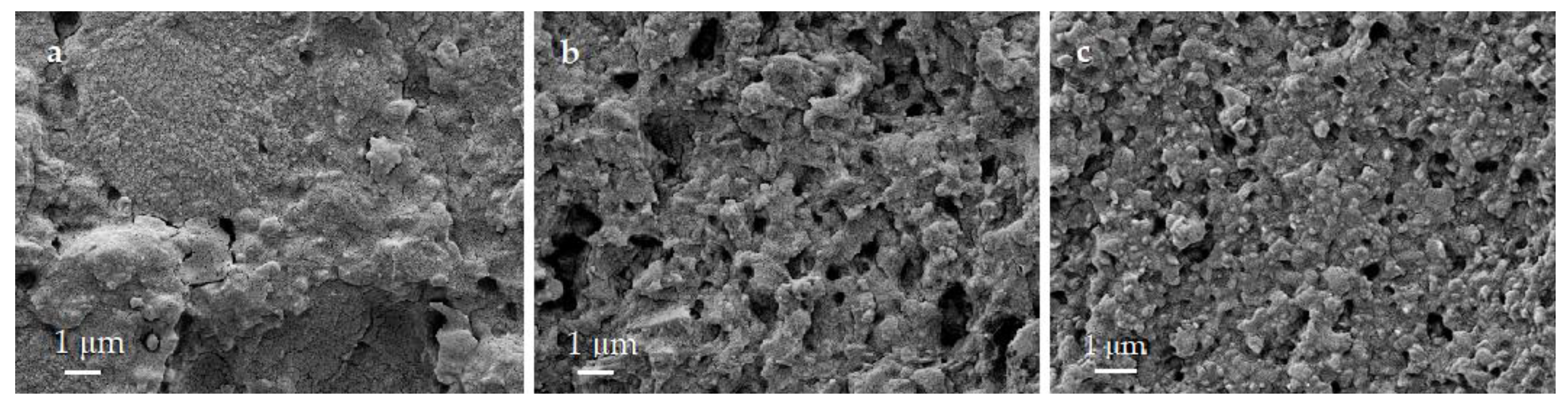 Polymers 13 00808 g010