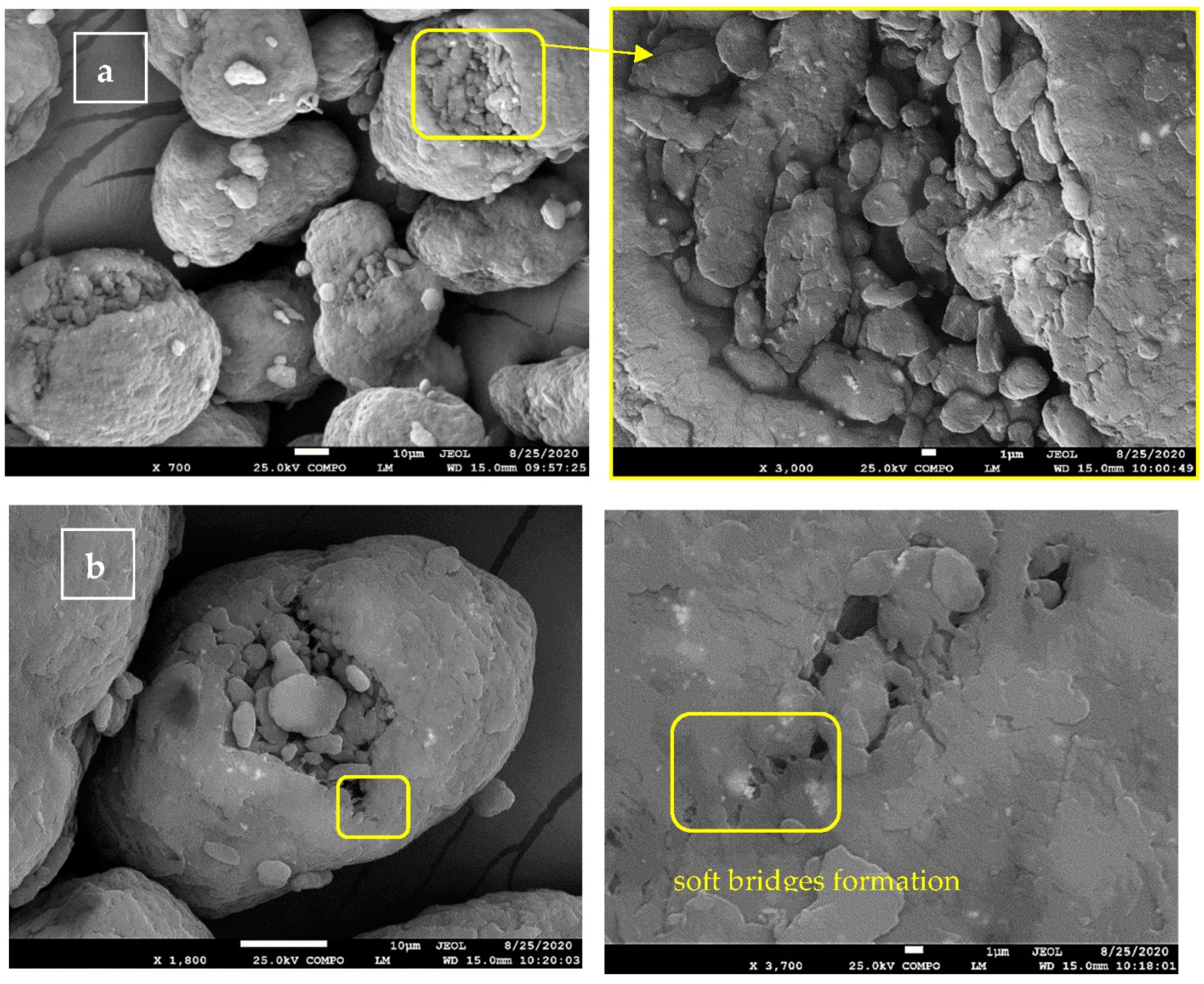 Polymers 13 00810 g001a