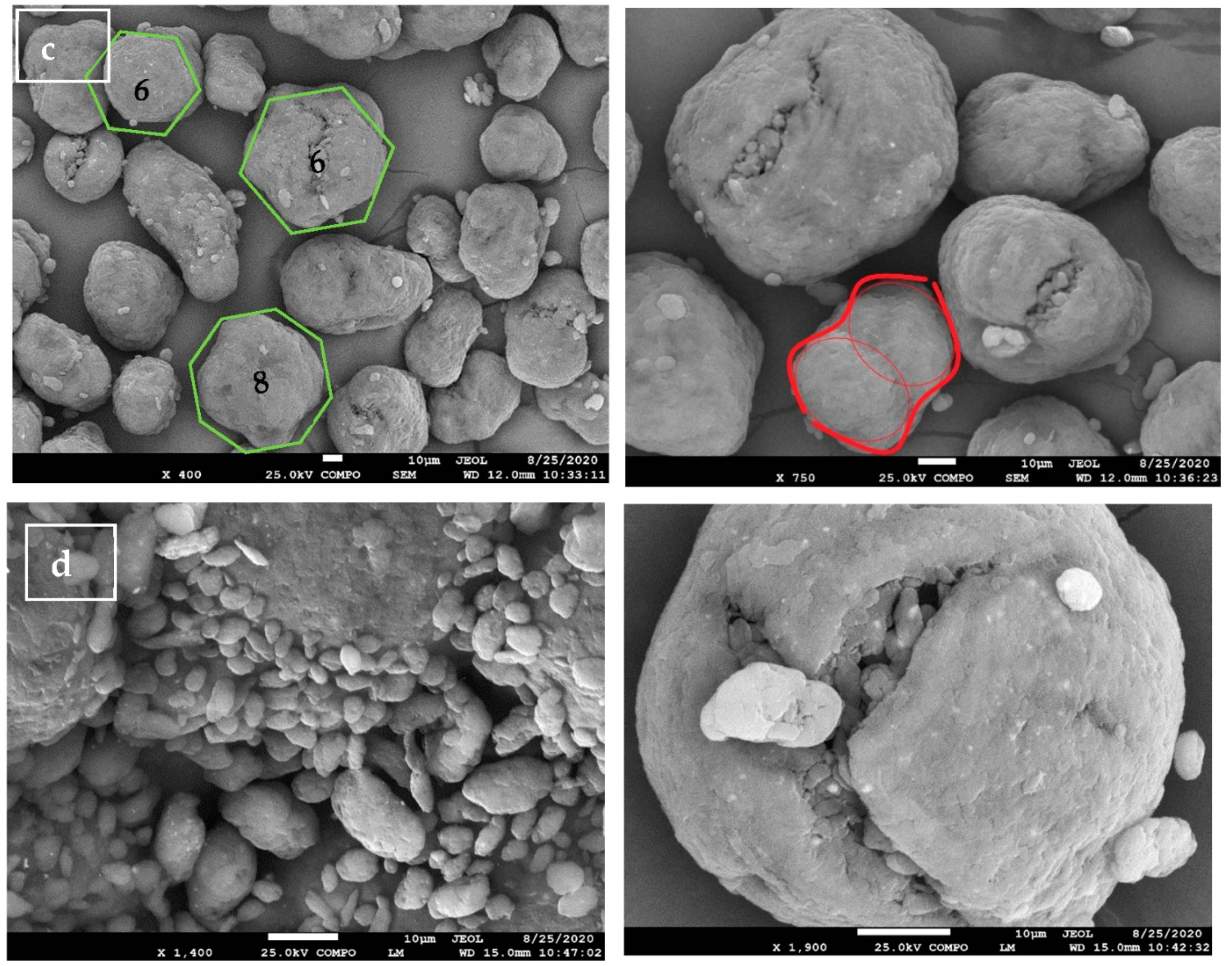 Polymers 13 00810 g001b