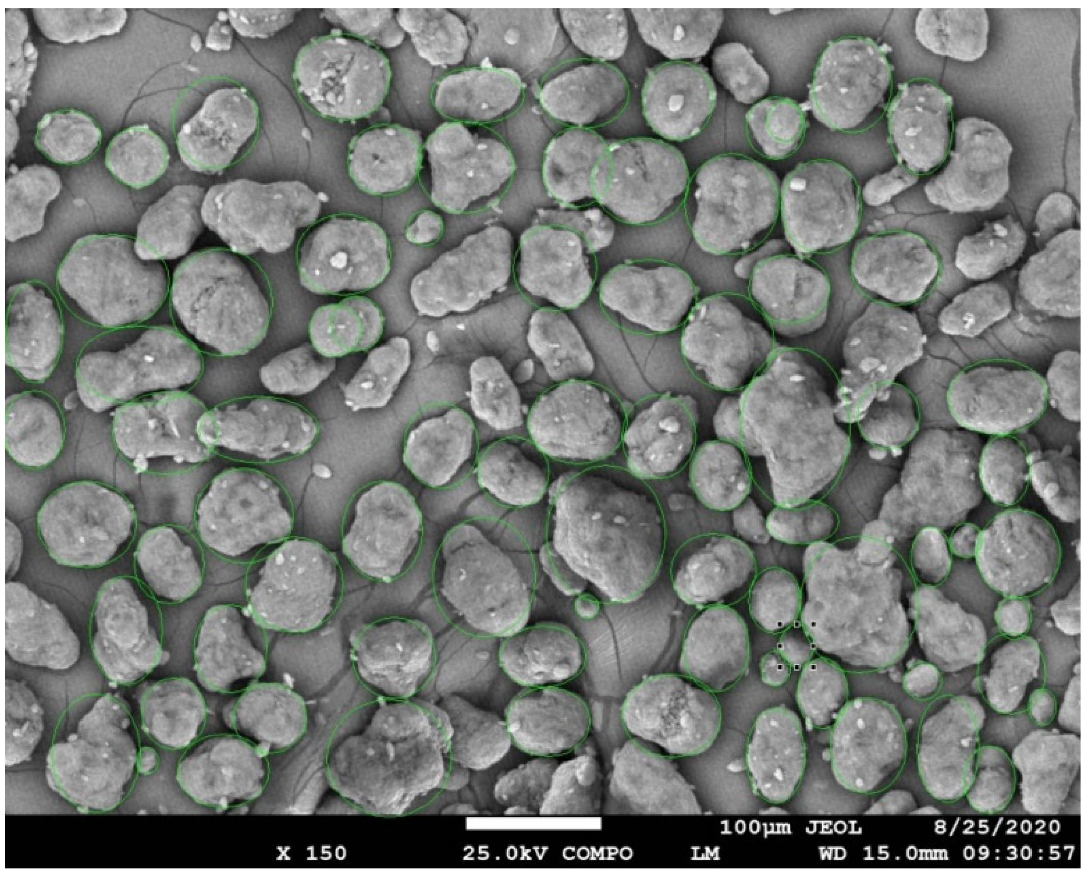 Polymers 13 00810 g003