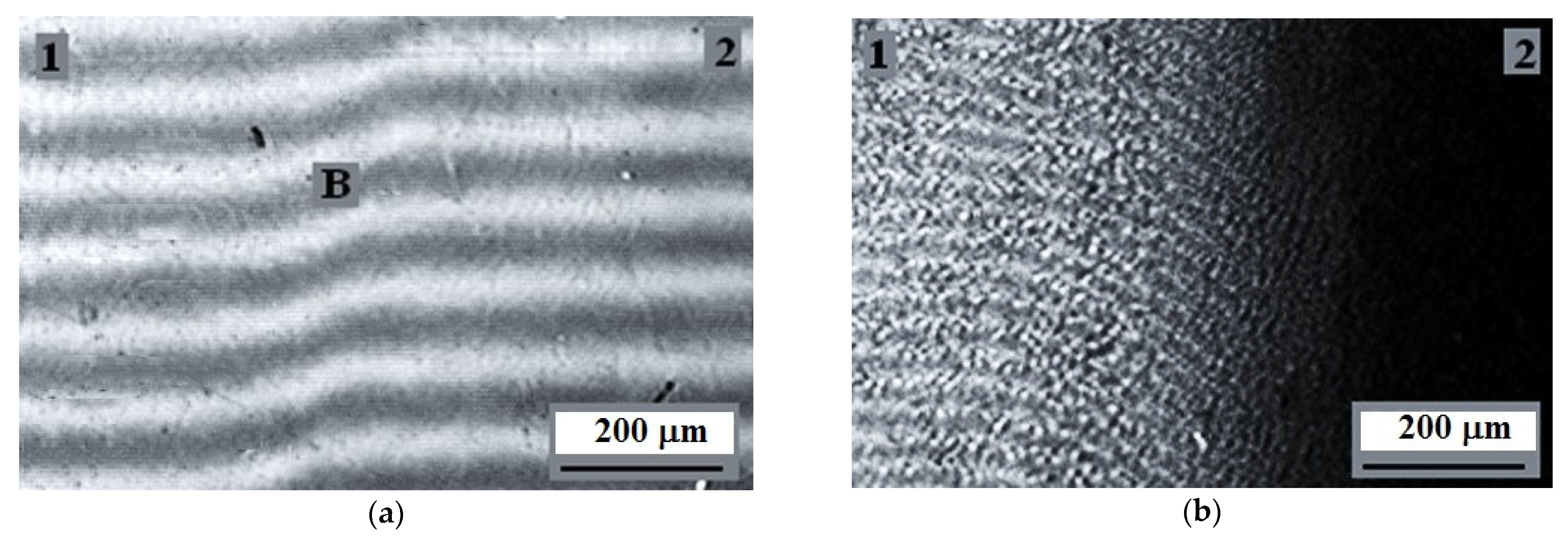 Polymers 13 00811 g007