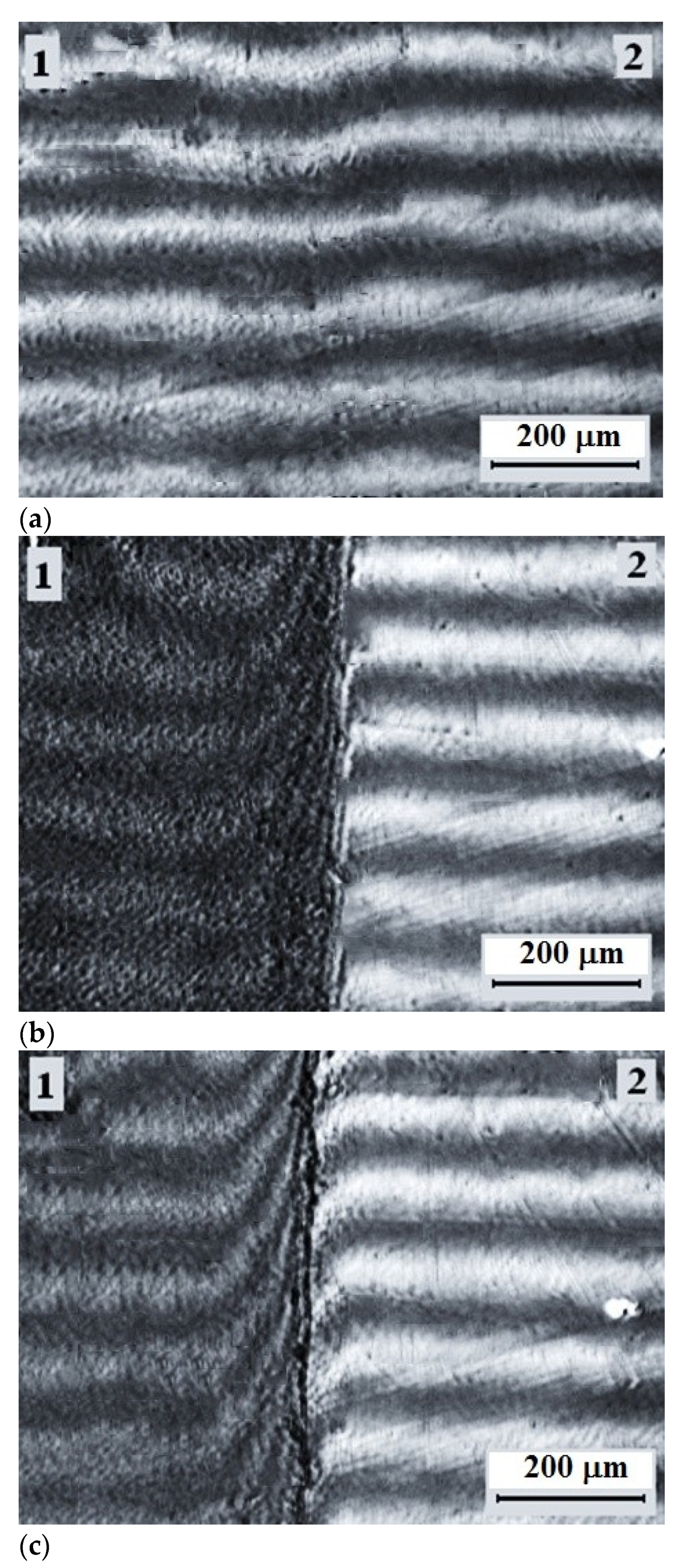 Polymers 13 00811 g010