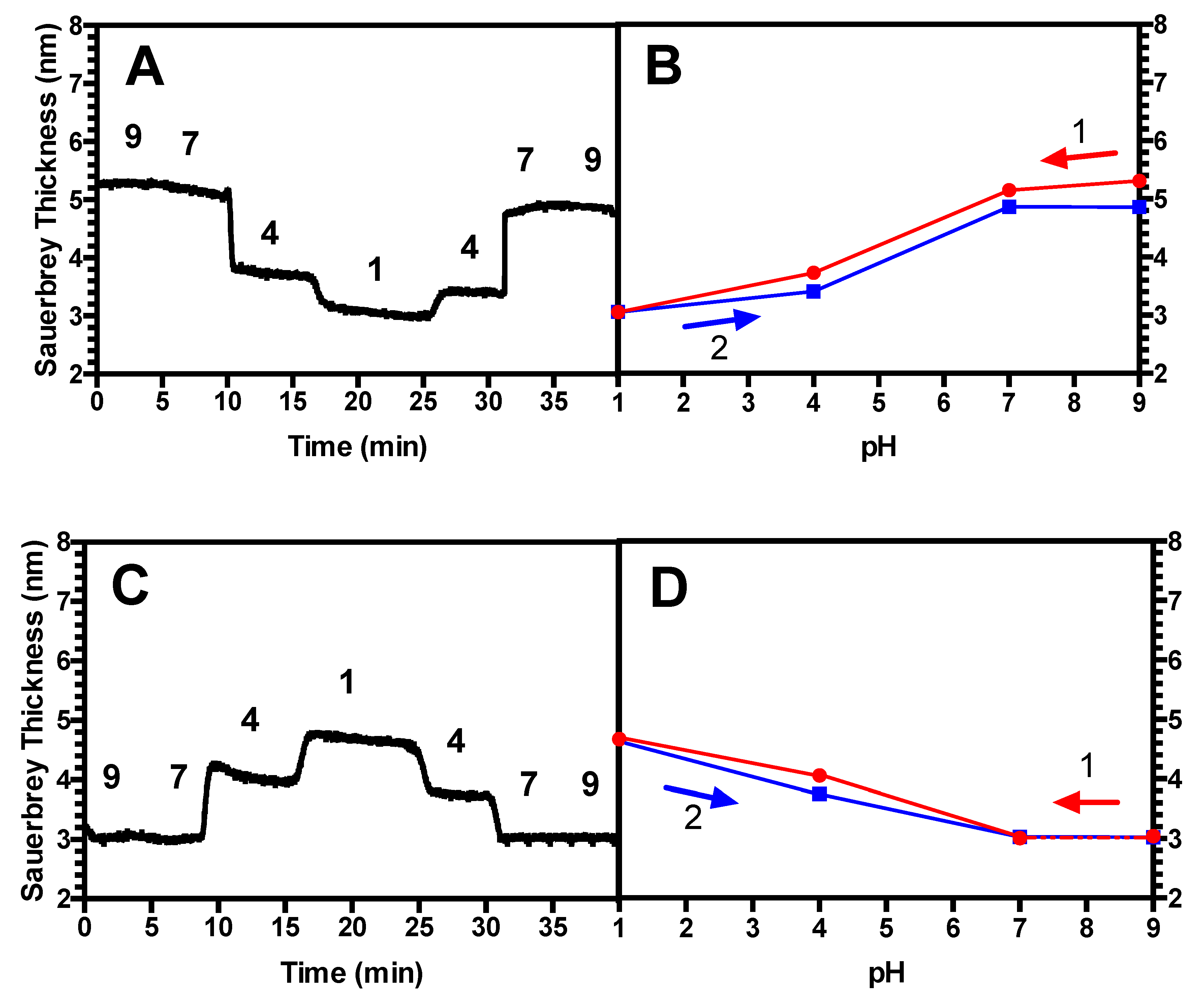 Polymers 13 00812 g002 Polymers 13 00812 g002