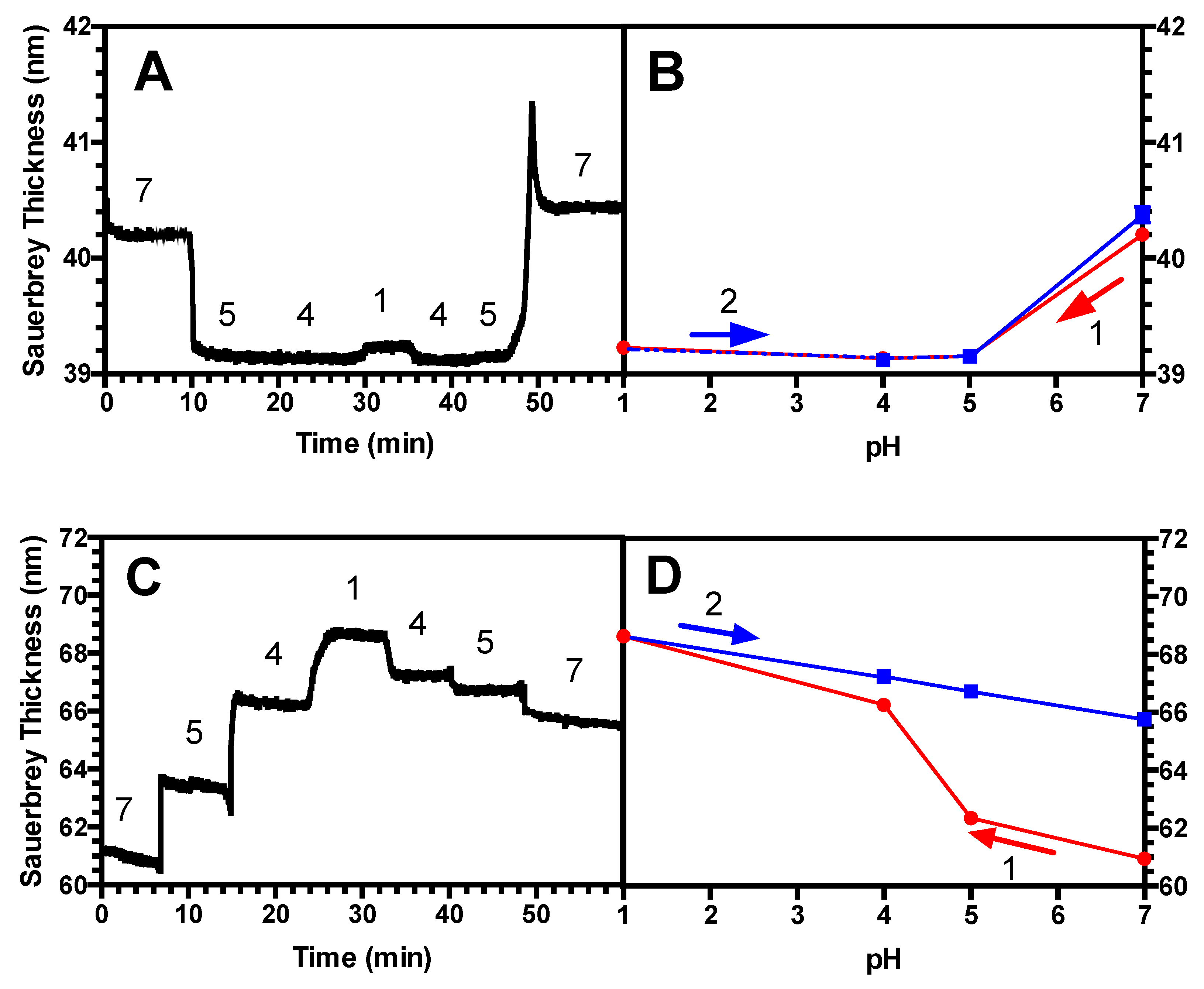 Polymers 13 00812 g003 Polymers 13 00812 g003