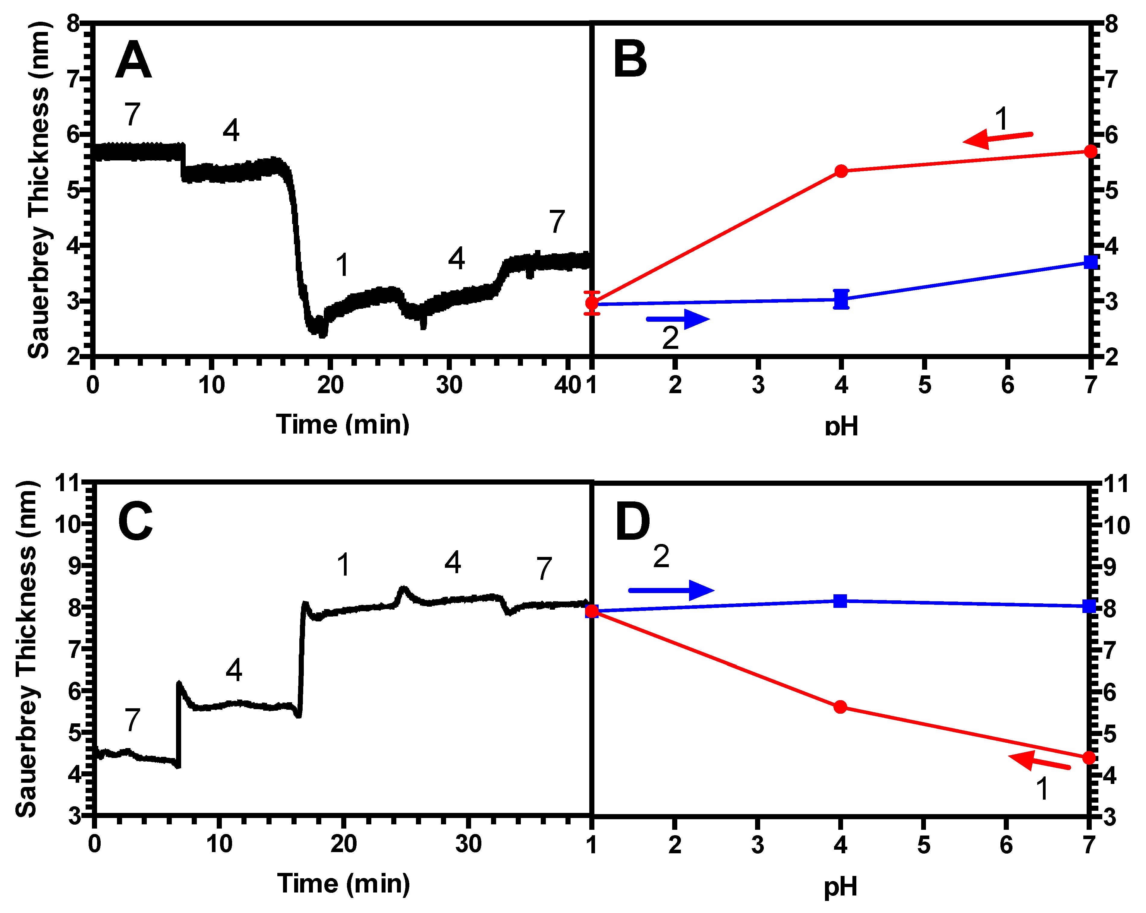 Polymers 13 00812 g004 Polymers 13 00812 g004