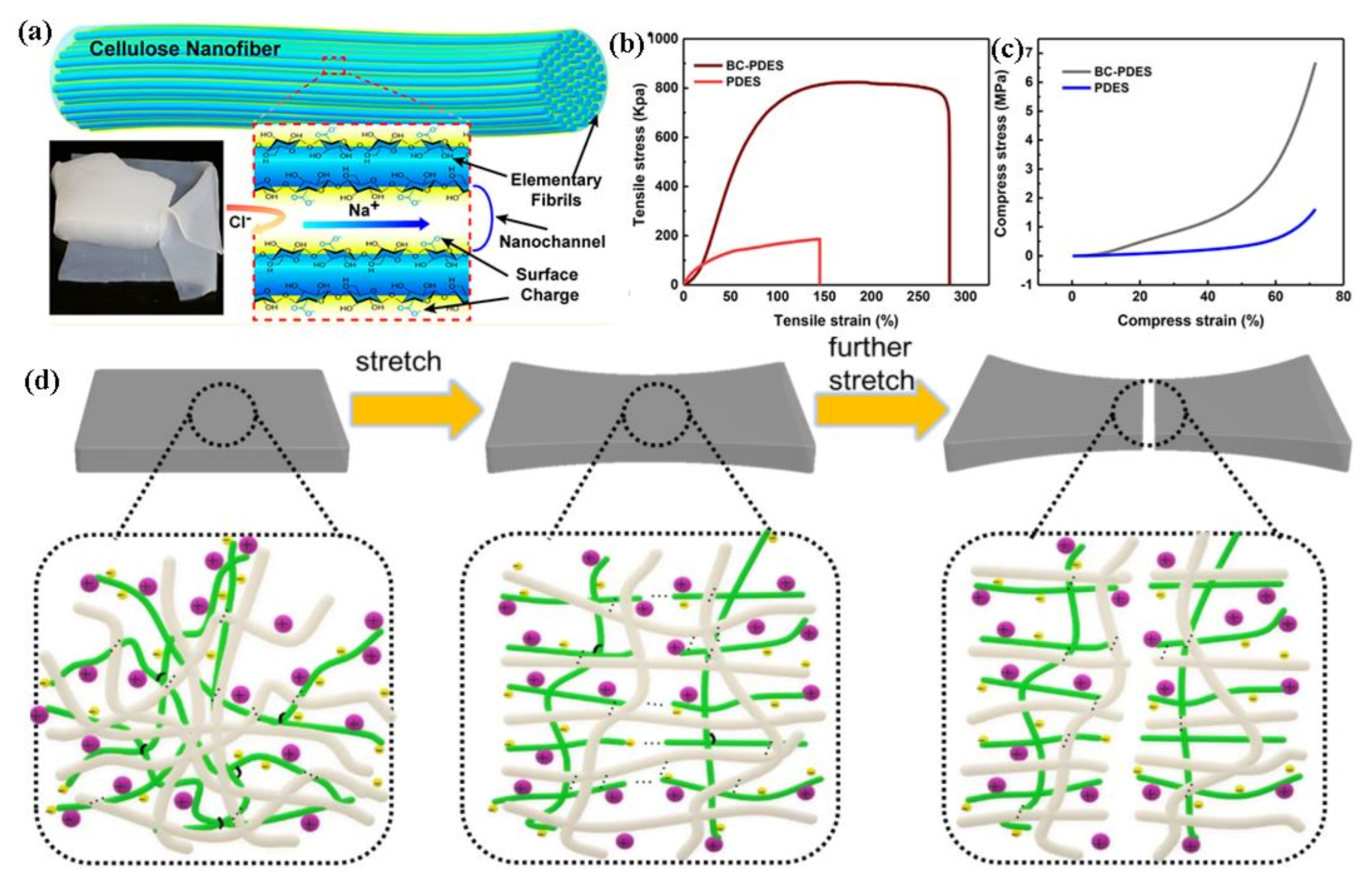 Polymers 13 00813 g008 Polymers 13 00813 g008