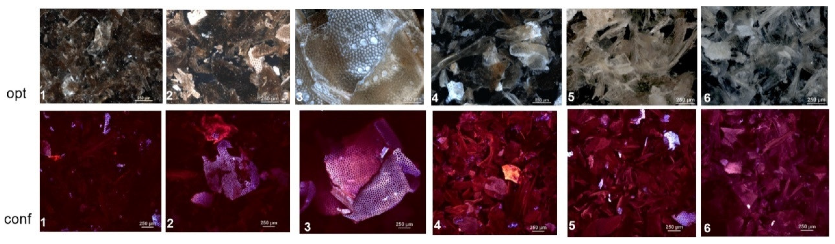 Polymers 13 00818 g001