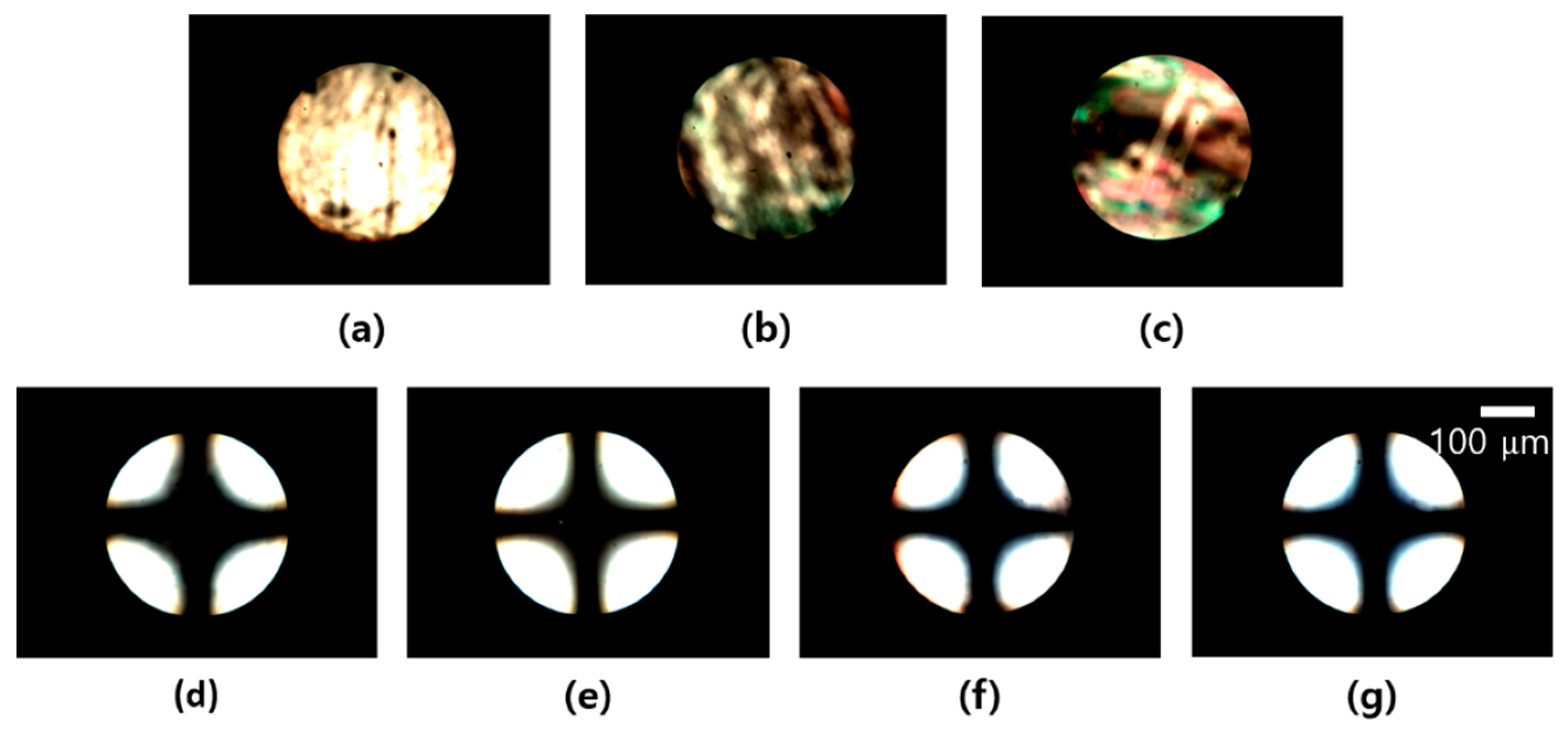 Polymers 13 00819 g004