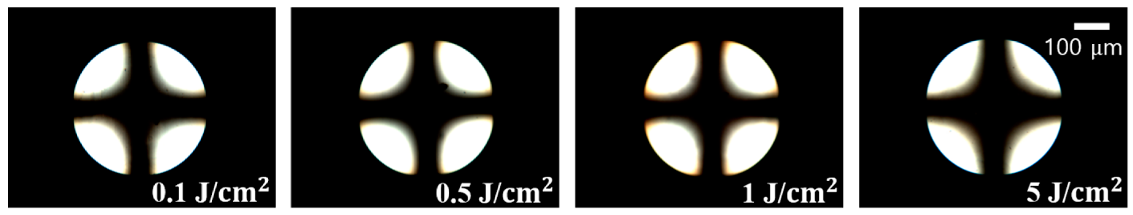 Polymers 13 00819 g008