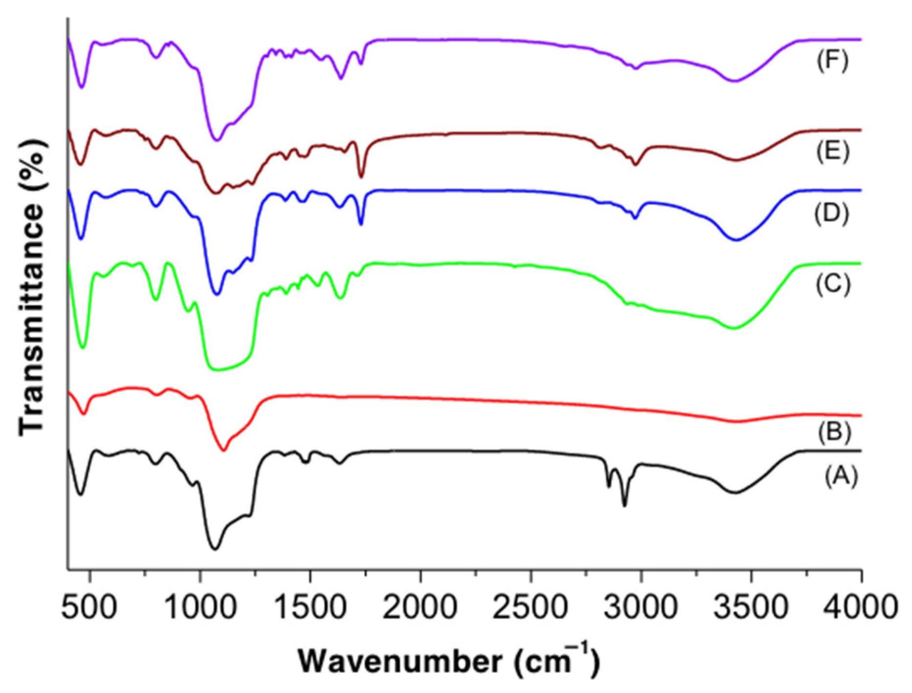 Polymers 13 00823 g002 Polymers 13 00823 g002