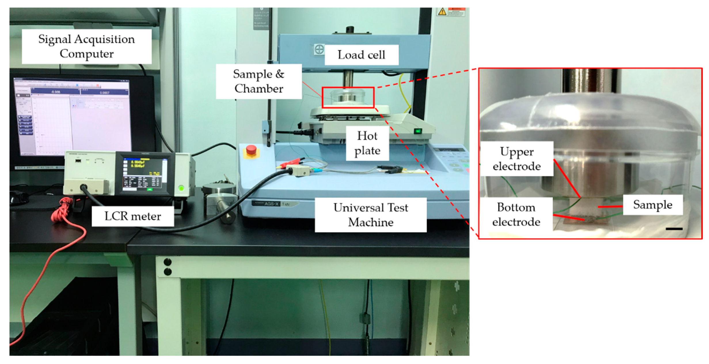Polymers 13 00824 g002